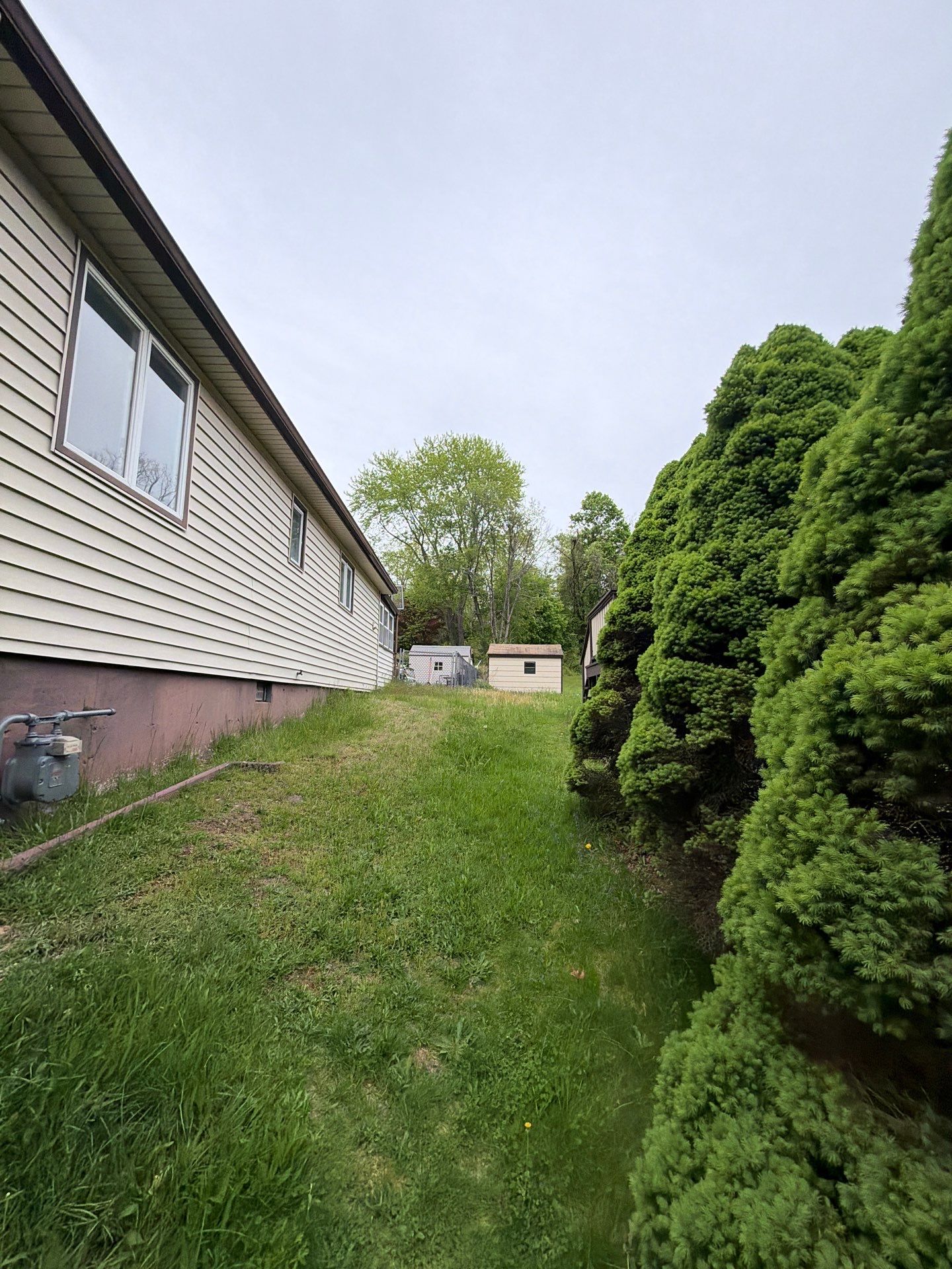 Residential Lawn Maintenance and Professional Mowing in East Haven by Diamond Image LLC
