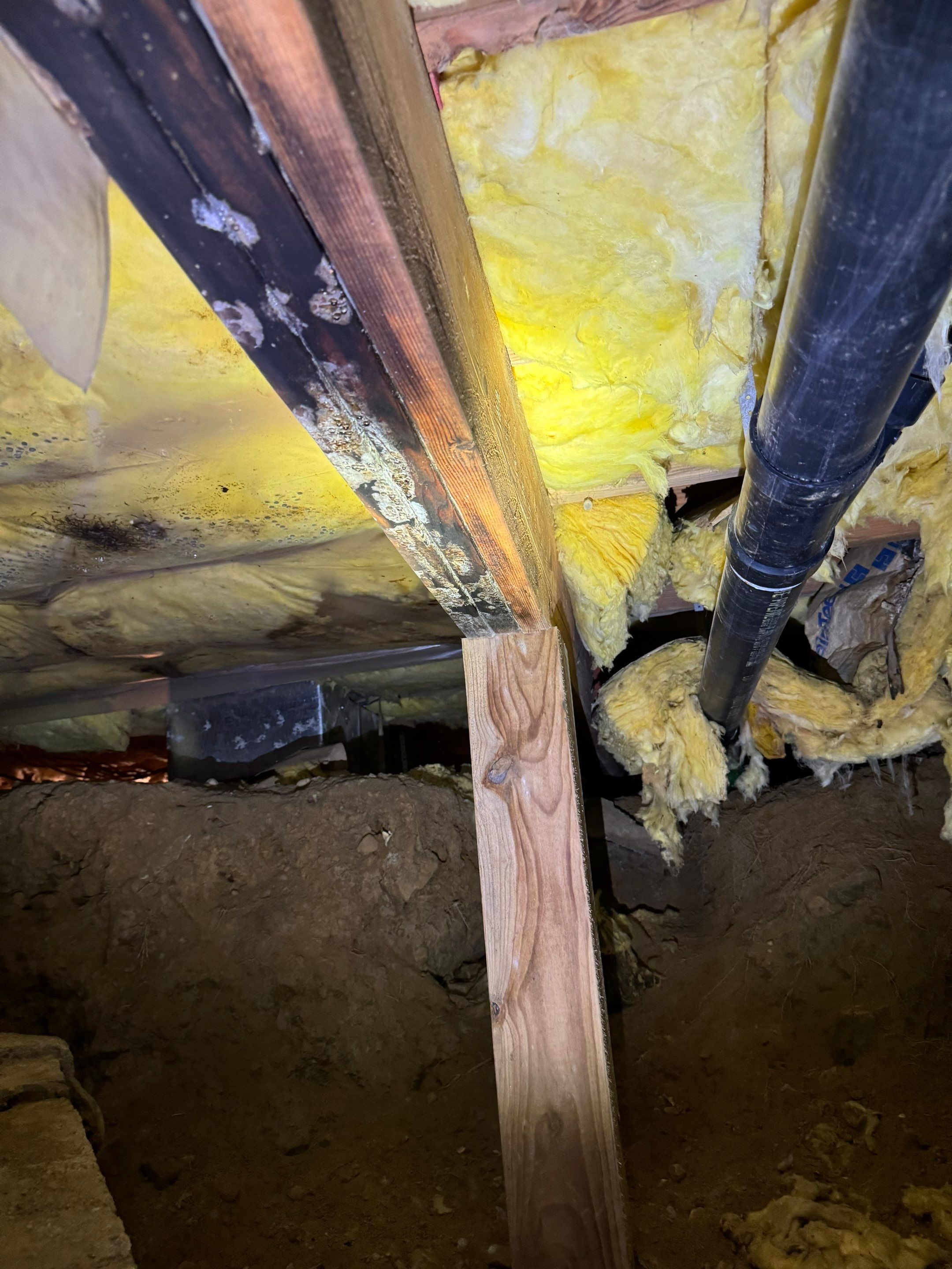 Mold Remediation (Basement) using Home Guarantee by Home Guarantee, LLC