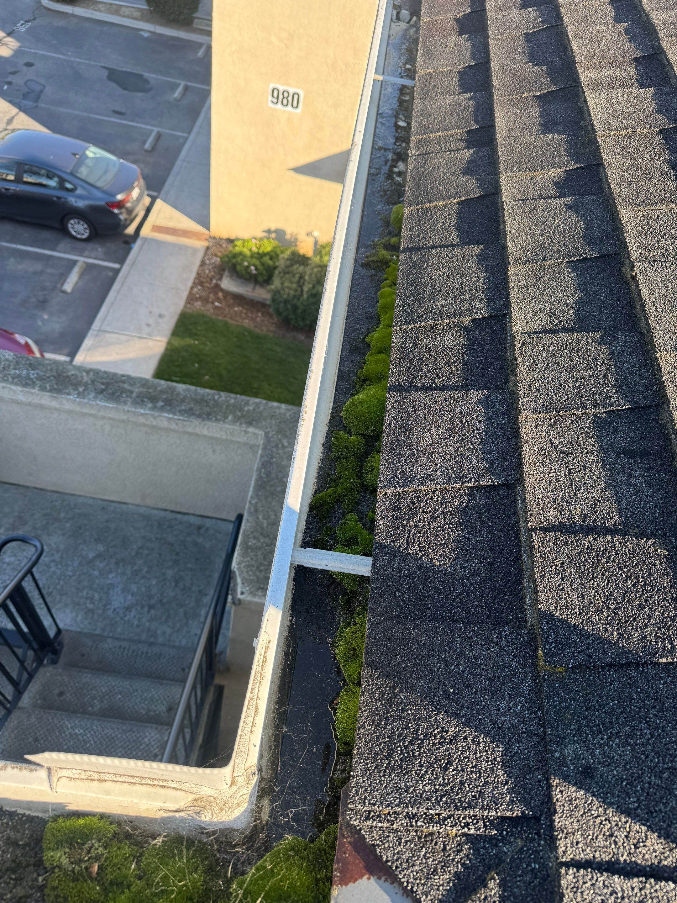 Commercial gutter cleaning Georgia before photo with filled gutters