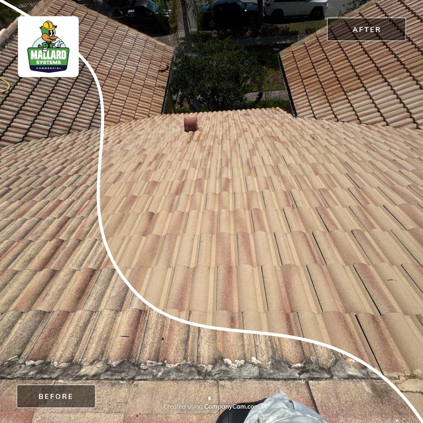 Tile Roof Cleaning by Mallard Systems
