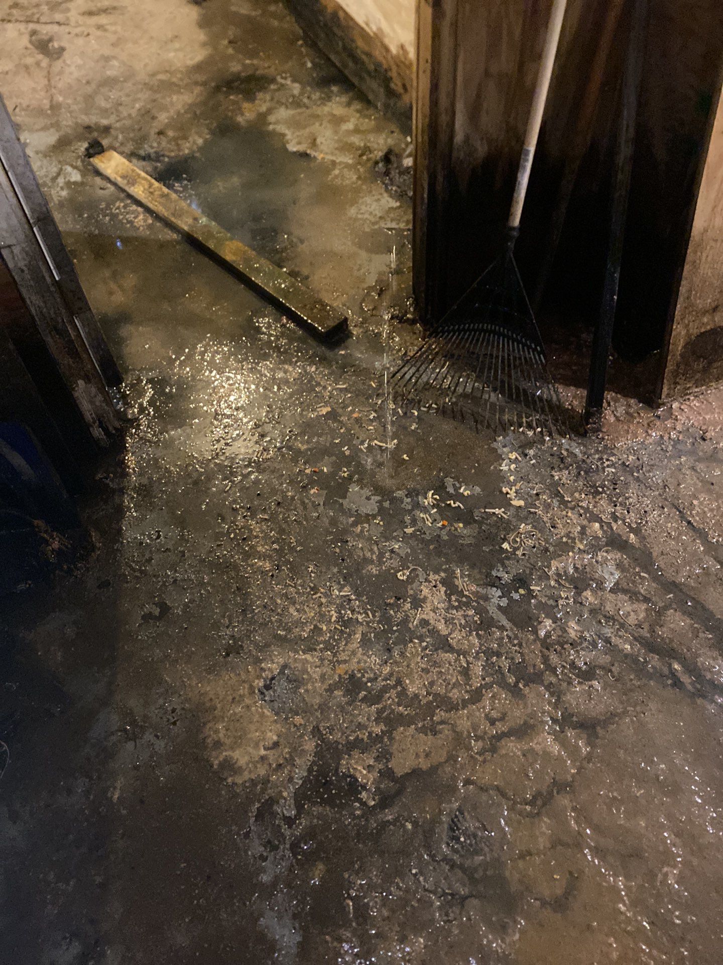 Overhead Sewage Pipe Burst by Chicagoland Water Medics