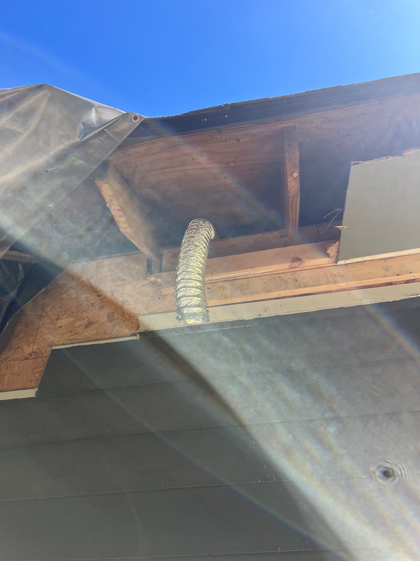 Tree Damage Restoration and Asphalt Shingle Roof Replacement in Memphis by Revival Roofing Services