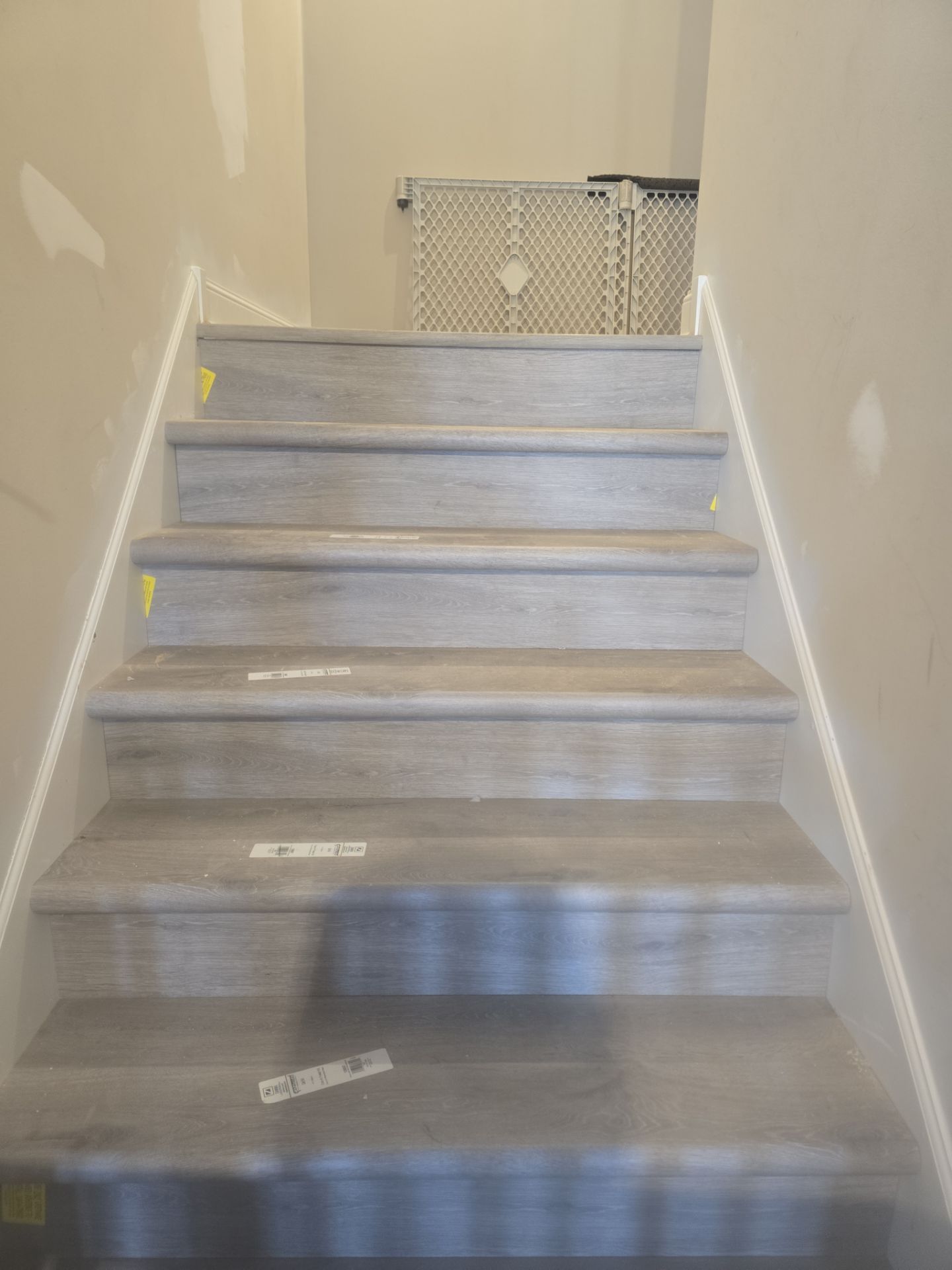 Puppy Room Conversion – Patio to Premium Pet Space by Johnny Five Construction 