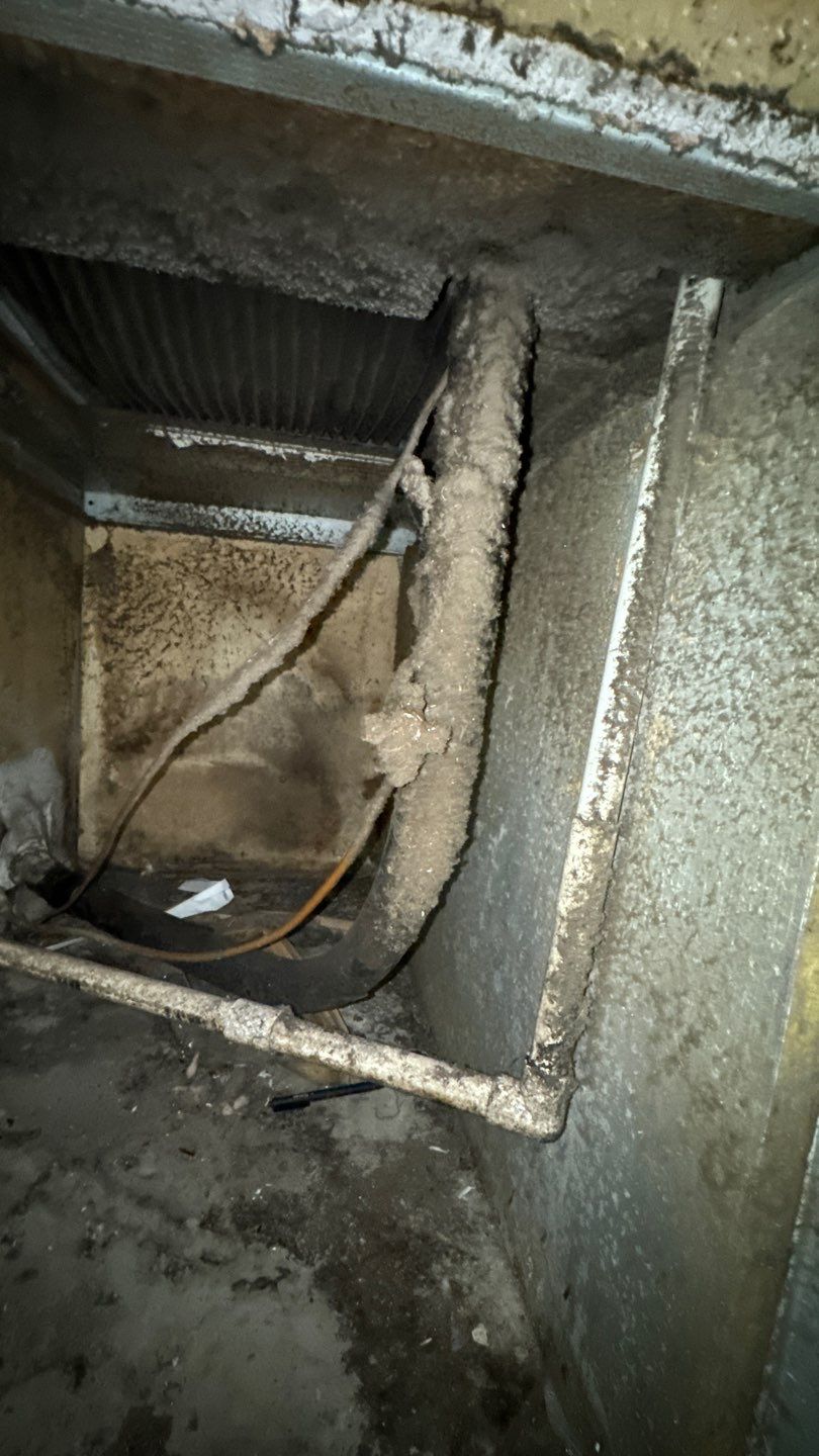 Commercial Air Duct Cleaning in Tavares by Hygienic Air, Inc