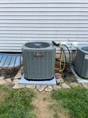 Project in Wayne