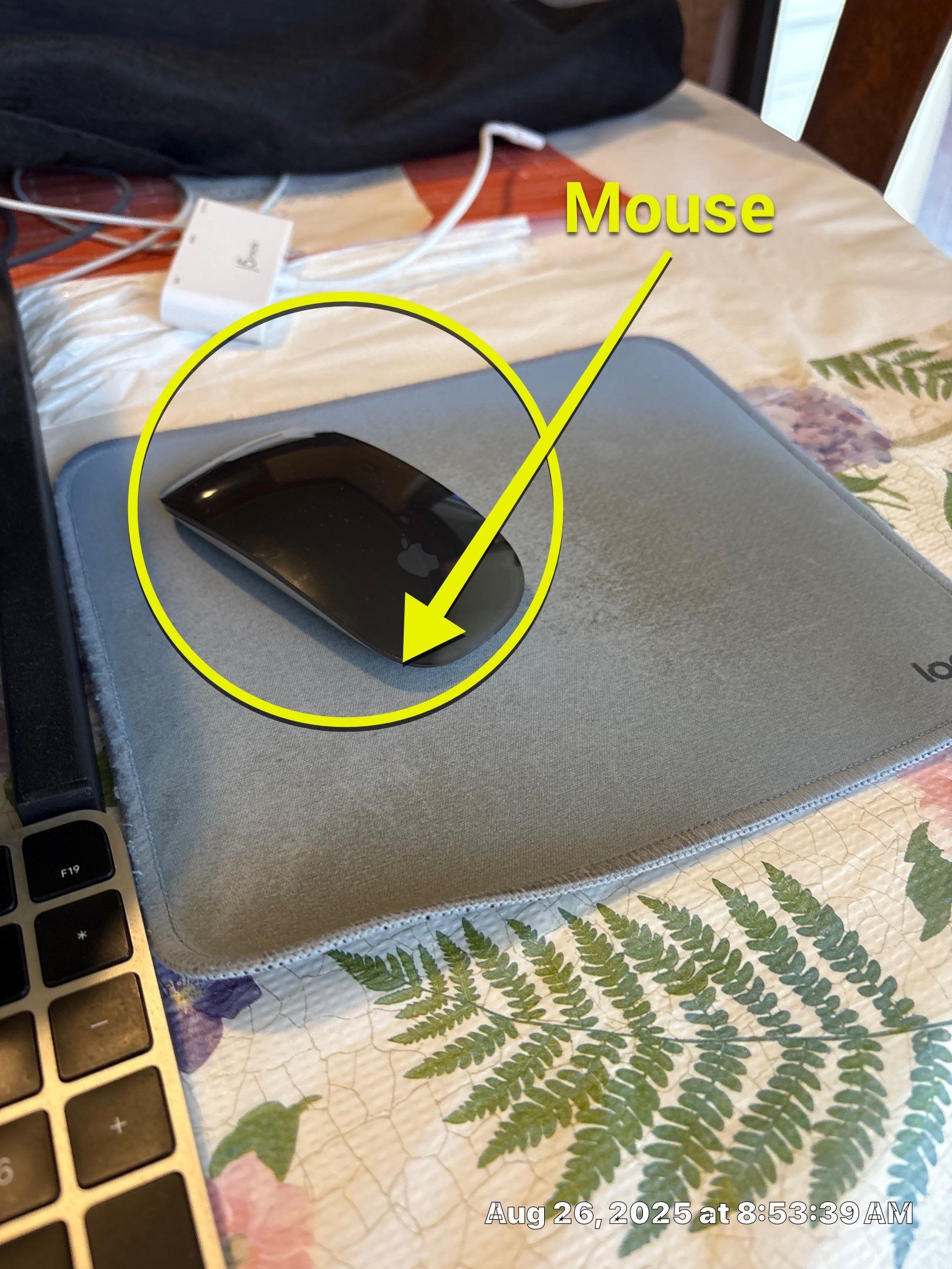Project by CompanyCam Sales Demo