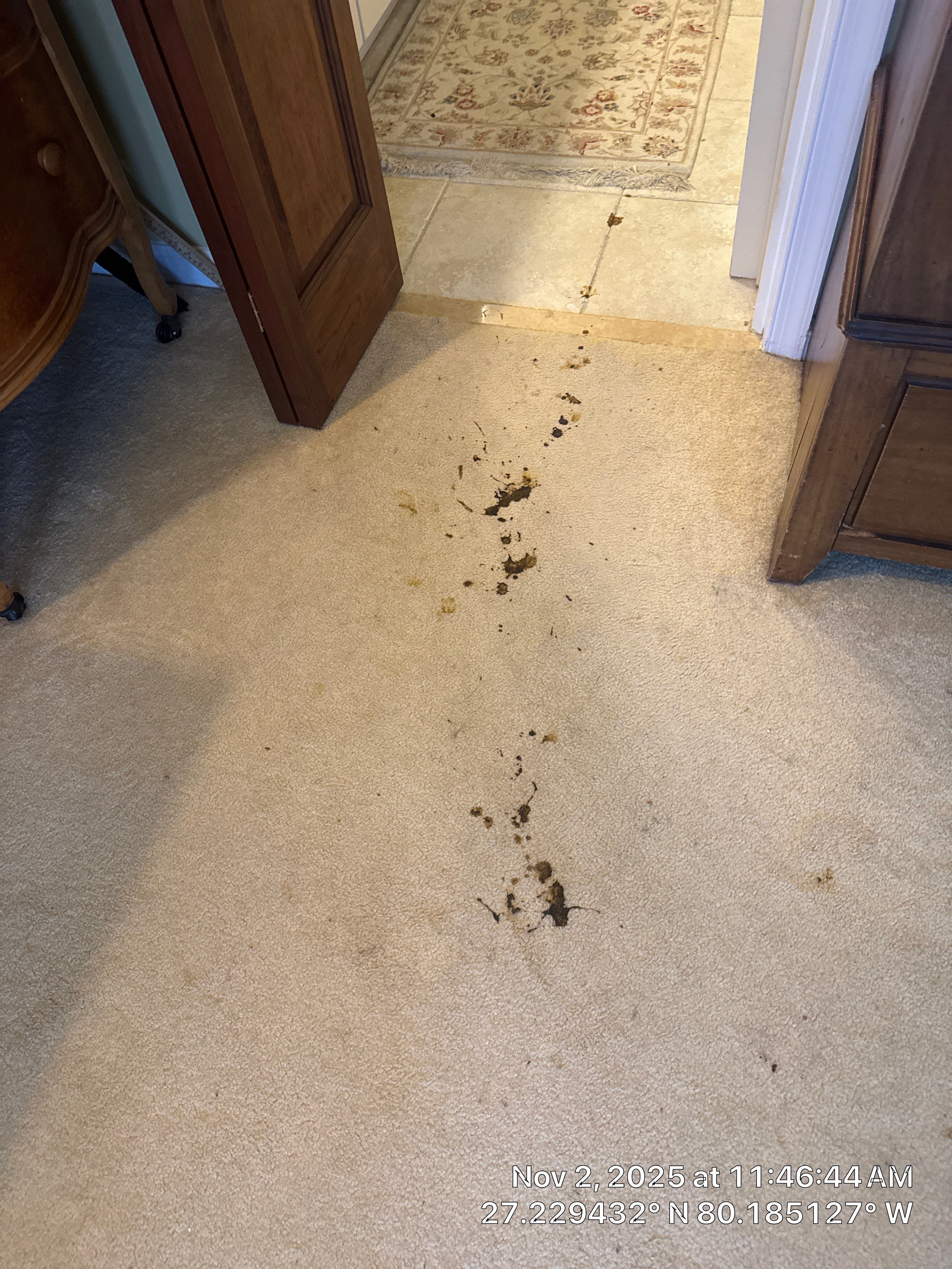 Biohazard  by SuperClean 