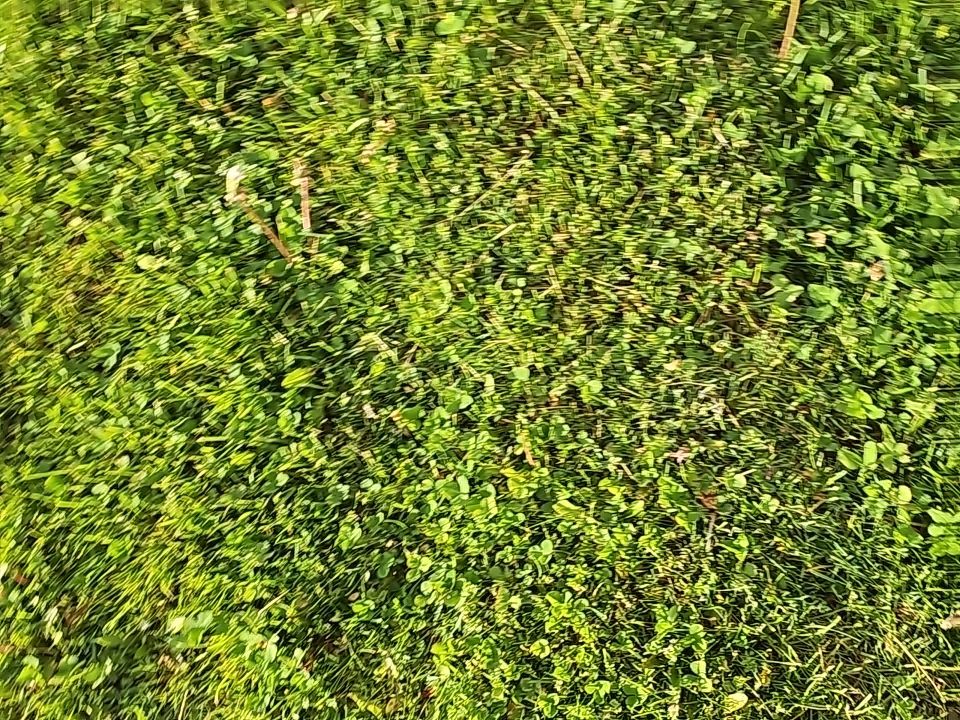 ATLAS PINNACLE COLOR: SUMMER STORM DRIP EDGE: WHITE by Eagle Eye Roofing