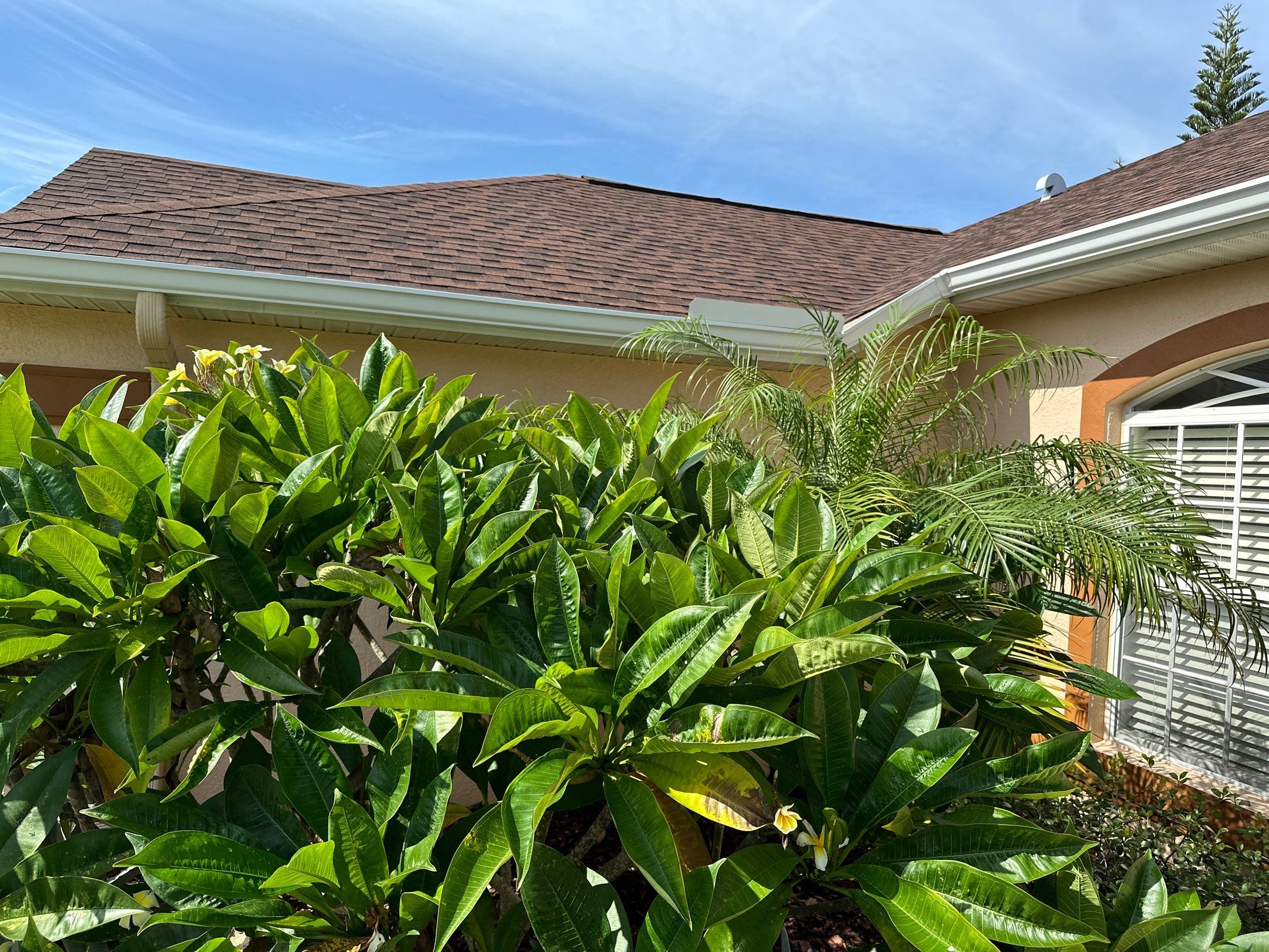 🏡 Pre-Sale House & Driveway Cleaning – Arbor Creek, Palmetto, FL by Sunshine AquaWash