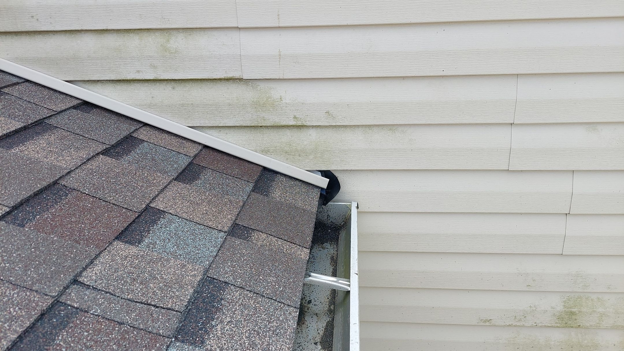 Majestic Shake by Tamlin Roofing