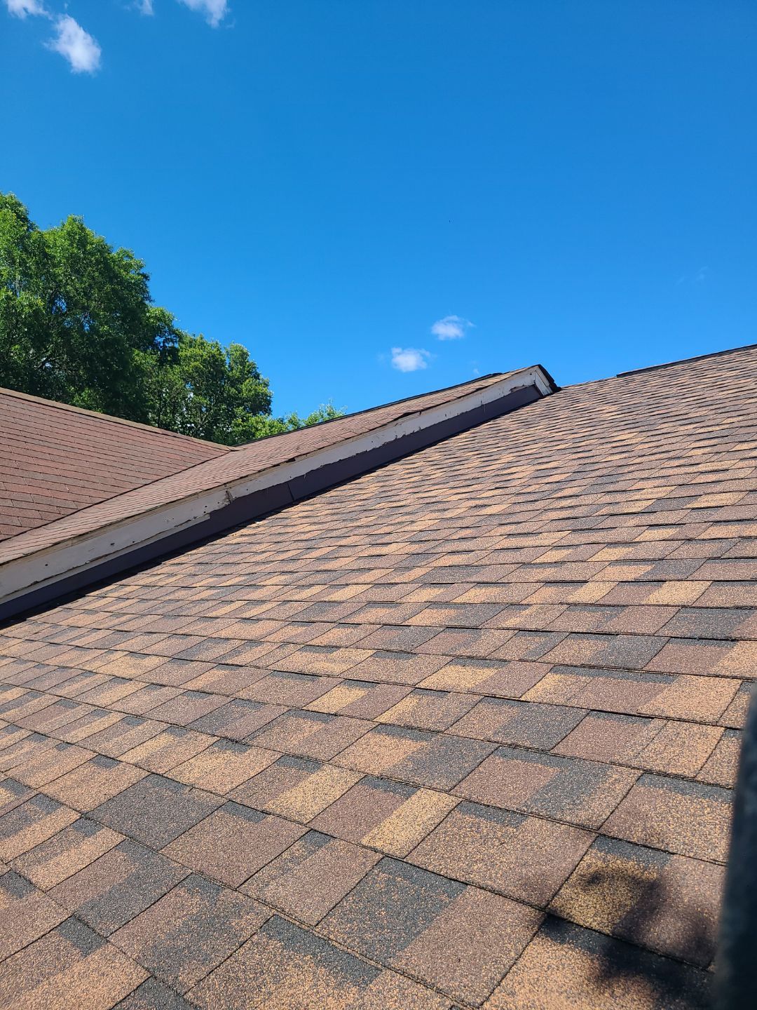 Alexandria: Roof Replacement with CertainTeed Landmark Pro in Max Def Burnt Sienna by RM Banning, Inc.