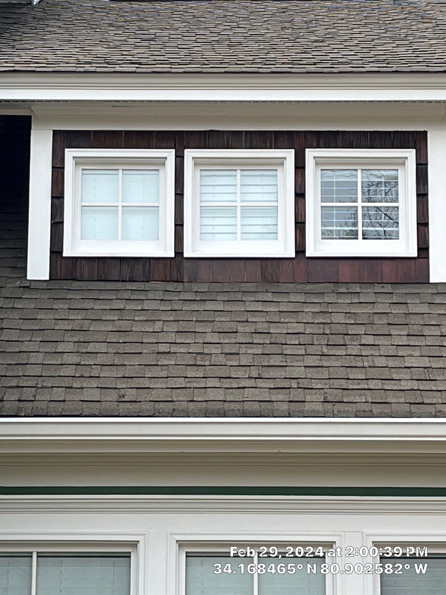 Geaux 2 Guy: Outsmarting Squirrels & Restoring Your Cedar Shingle Haven by Thompson Industrial