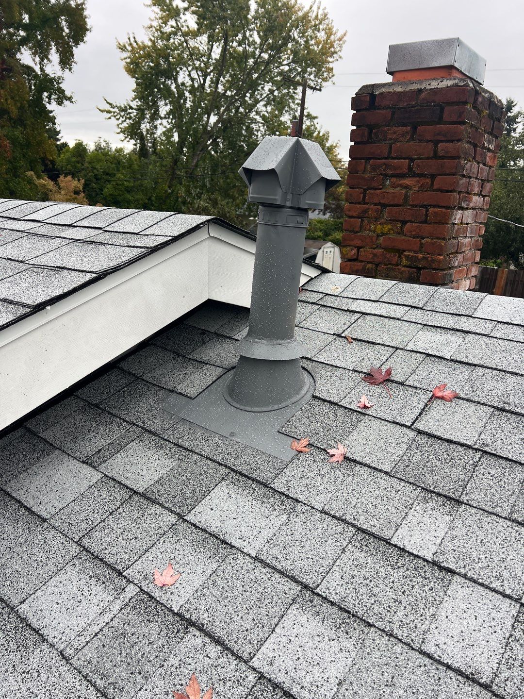 Residential Roofing Installation using IKO Dynasty (Color: Frostone Grey) by Orezona Building & Roofing Company, Inc.