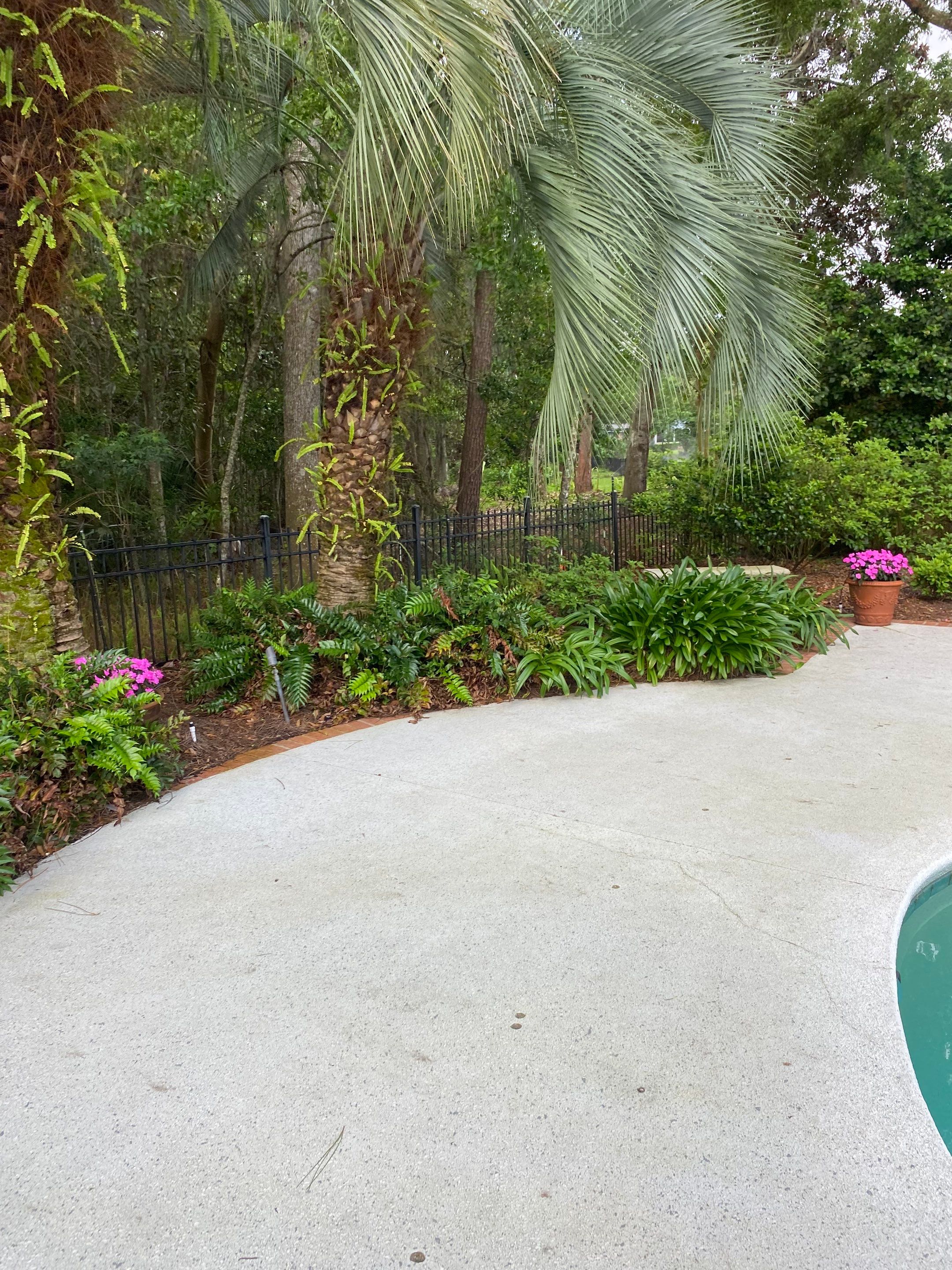 Deerwood Resident | Pine Straw Installation by ProGreen Services