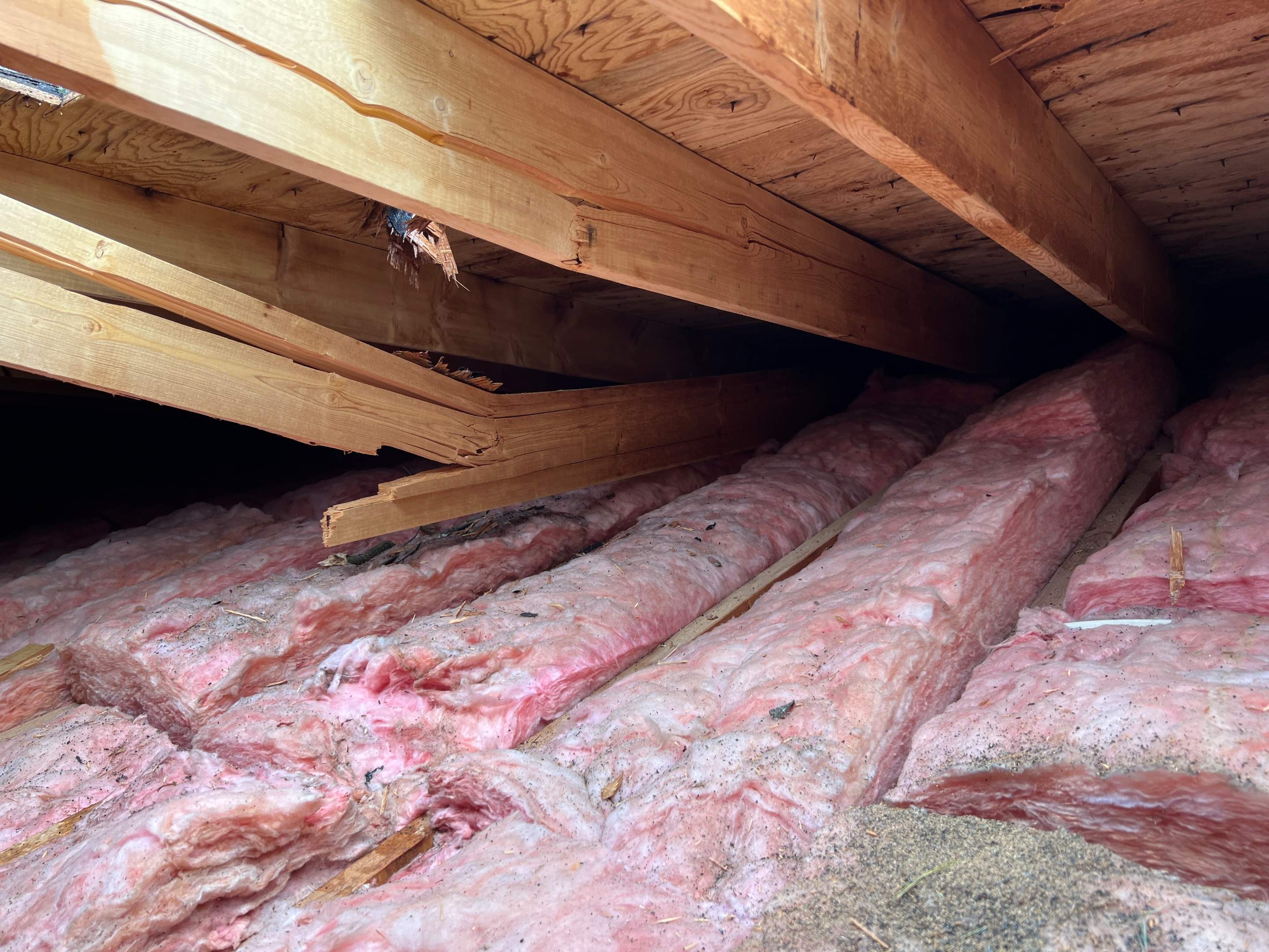 Tree Damage/Roof Repair by Chagnon Building & Remodeling LLC