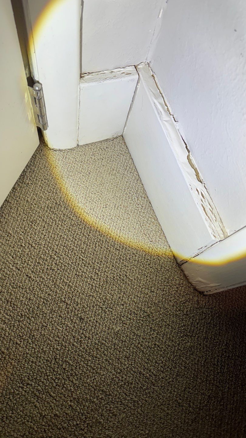 Mold Project in Englewood by Accountable Home Services
