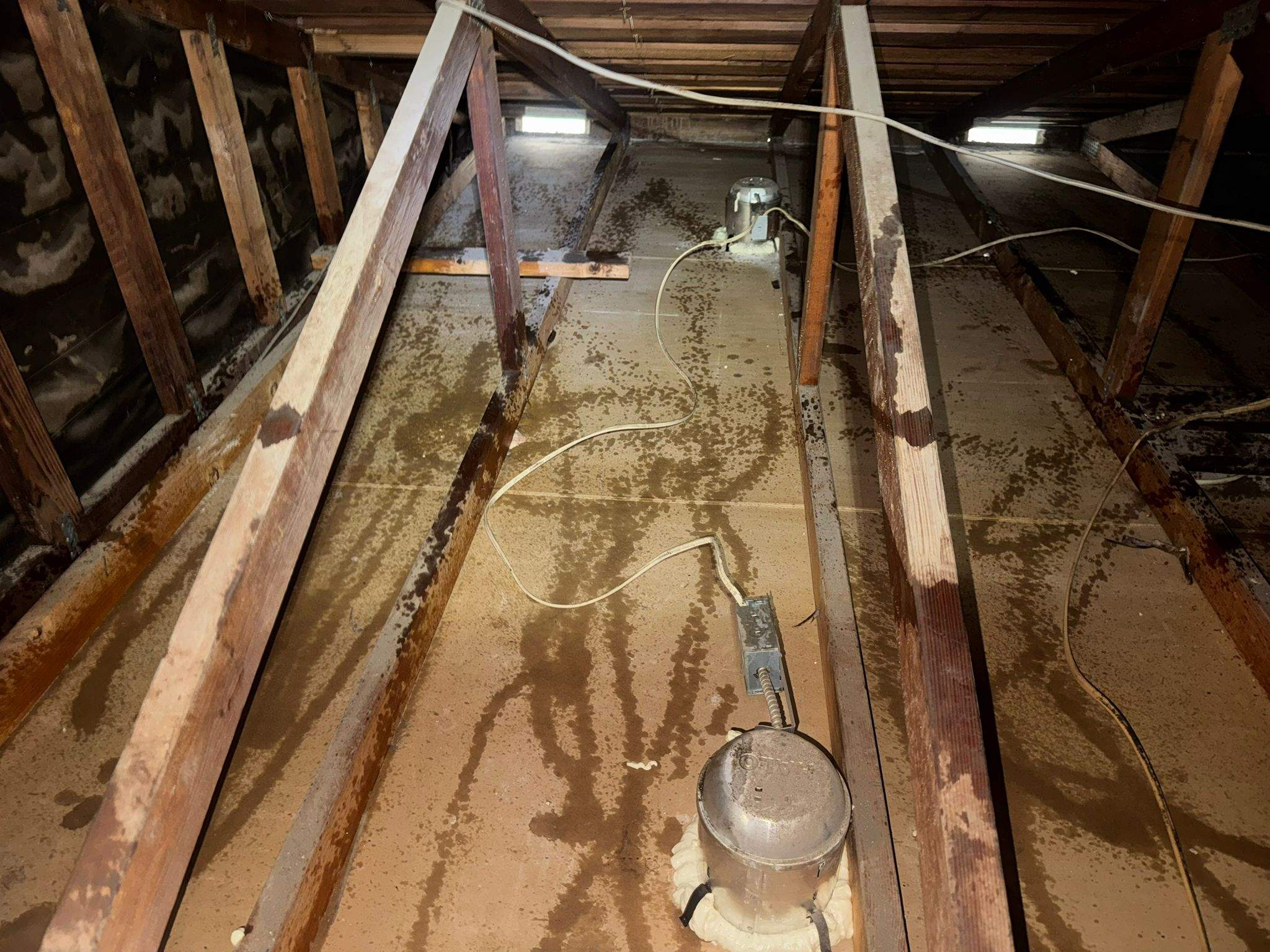 Project by Advanced Attic Solutions by Advanced Attic Solutions