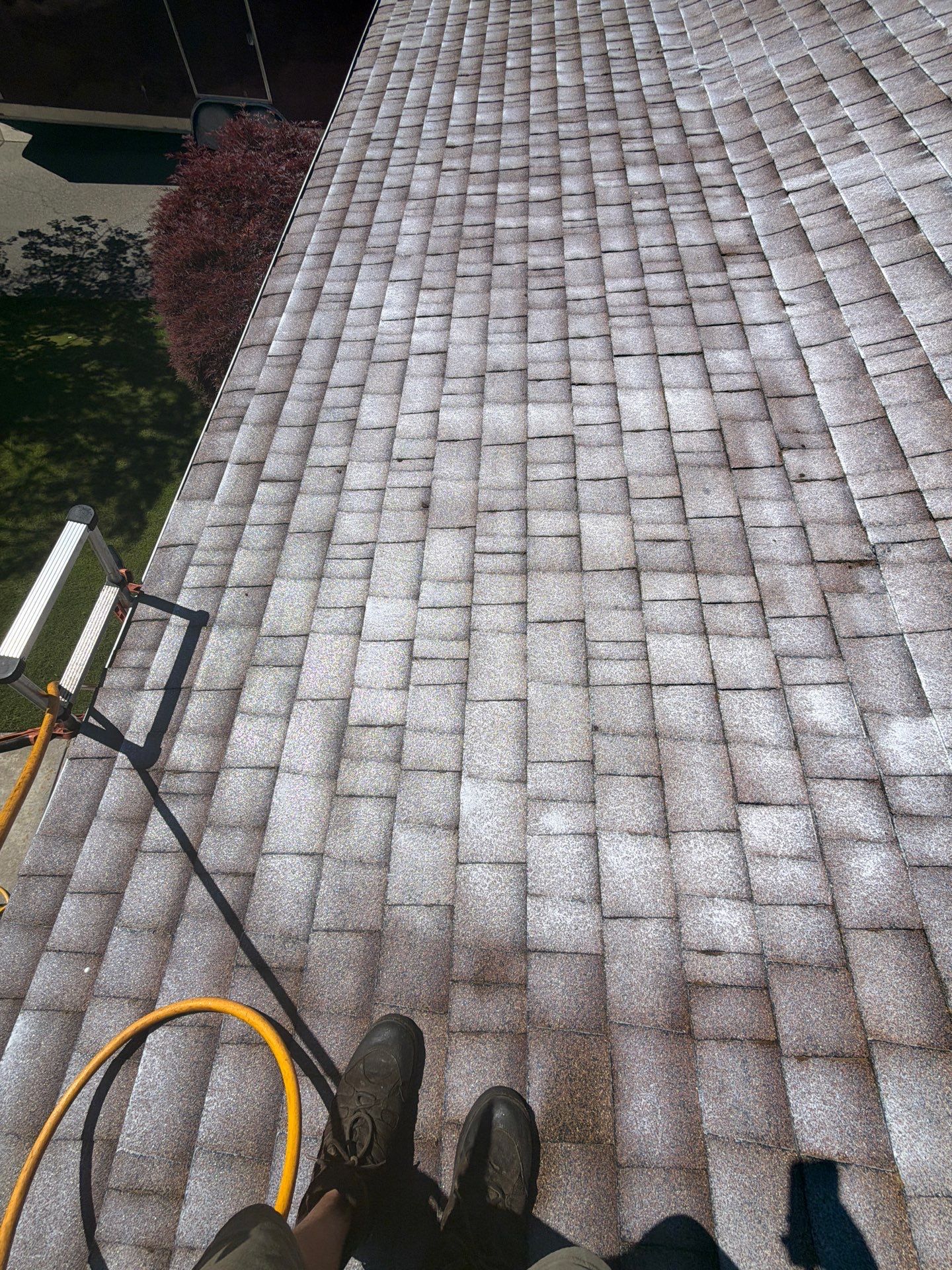 Project in Grants Pass by Roof Maxx of Grants Pass