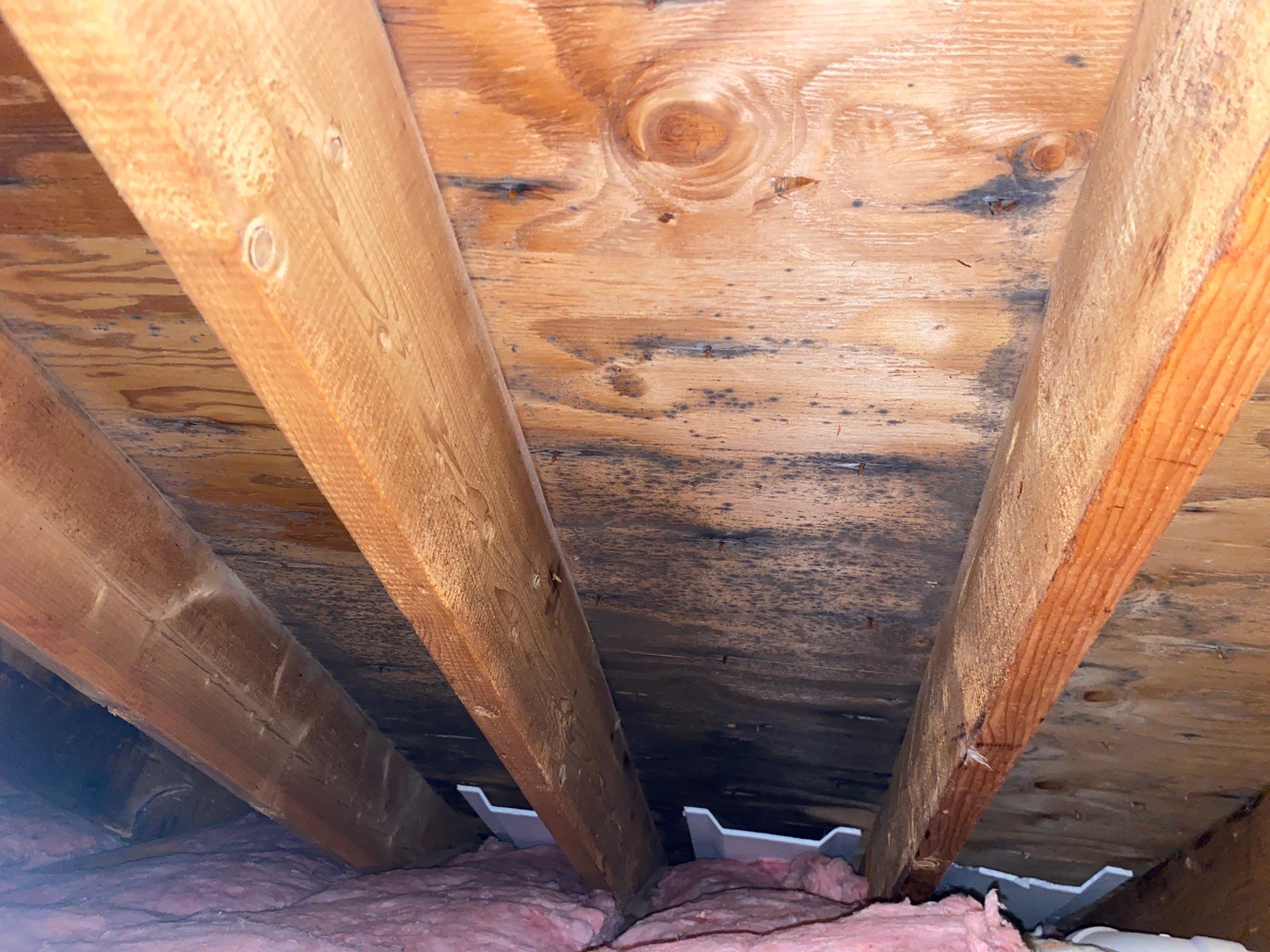 Full Roof Replacement & Farmers Porch Restoration – Asphalt + Standing Seam Metal by Mighty Dog Roofing of Greater Middlesex County