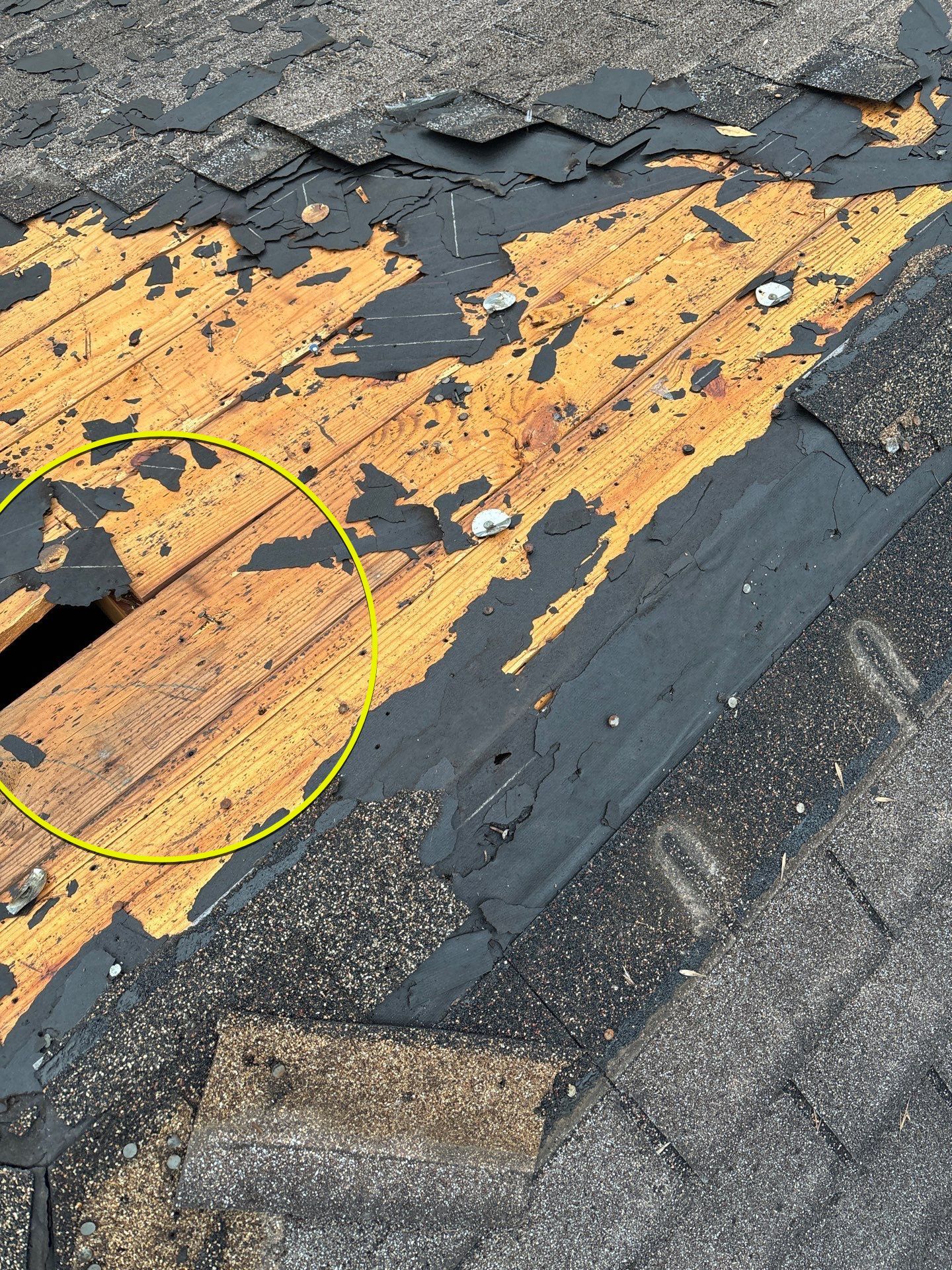 Roof Replacement Humble by Roof Repair Services LLC