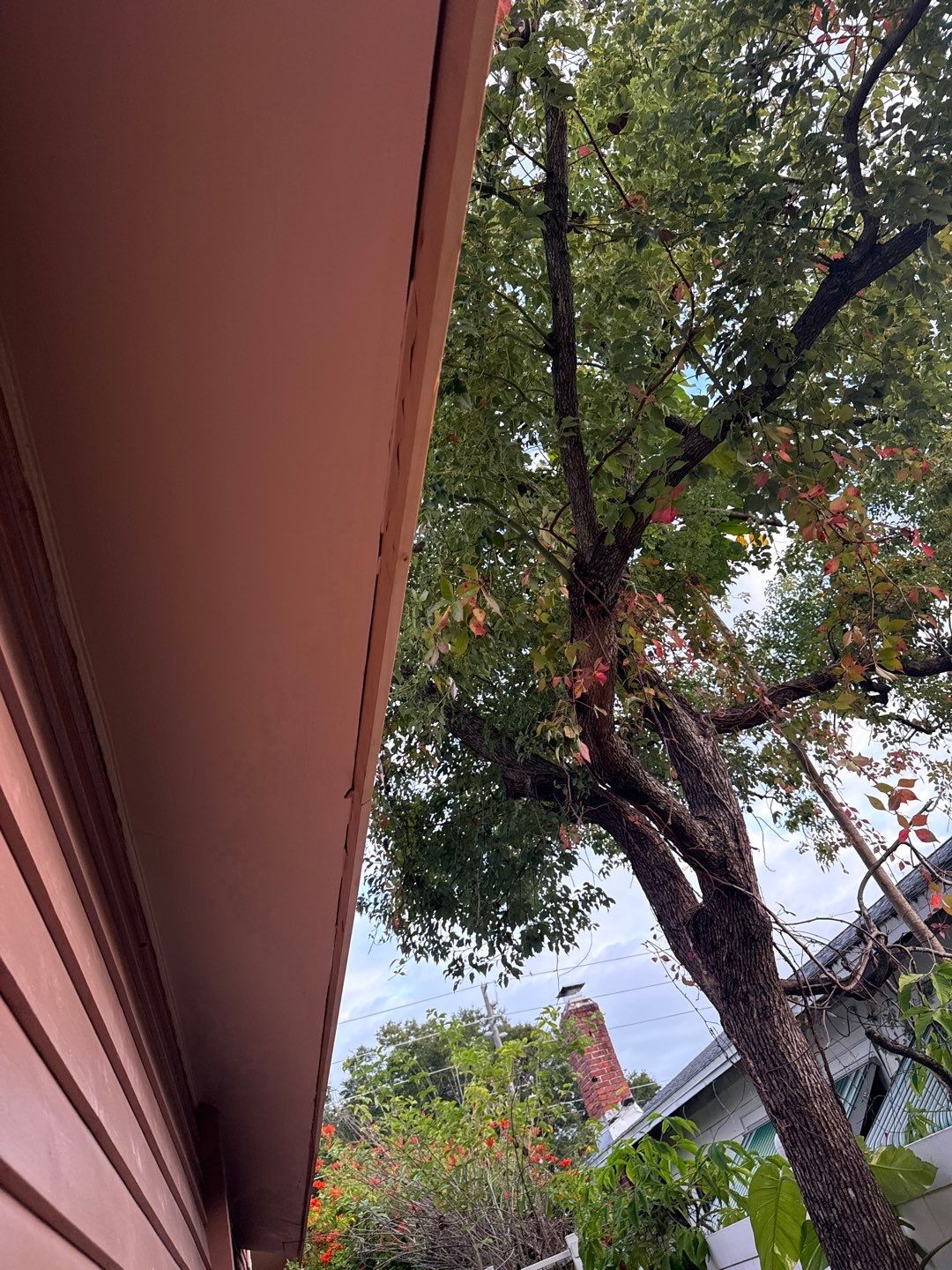 Project in St. Petersburg 33704 by Mitchell Roofing Company LLC