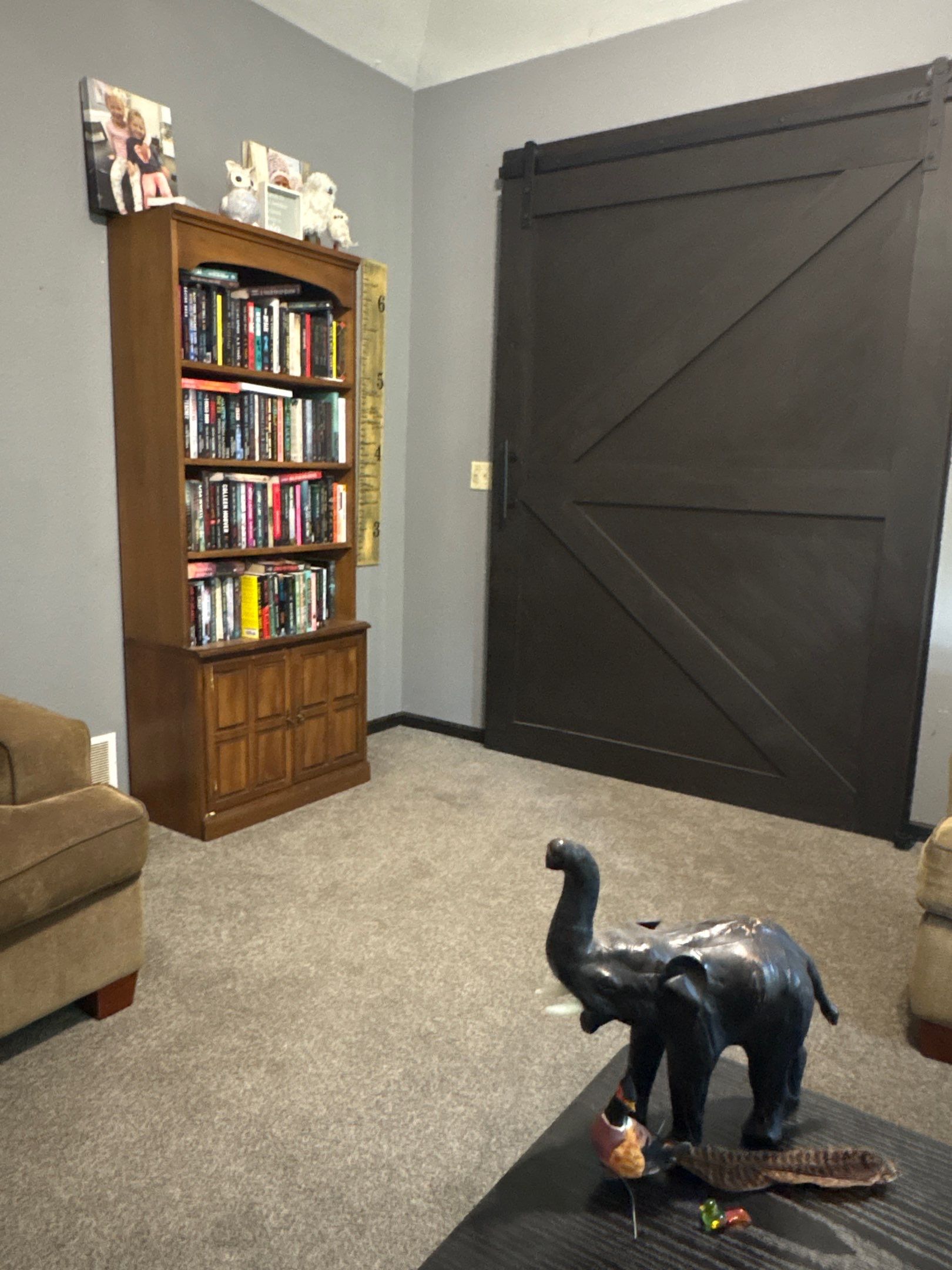 Custom Sliding Barn Door Installation and Interior Updates in Waukesha by CompanyCam Sales Demo