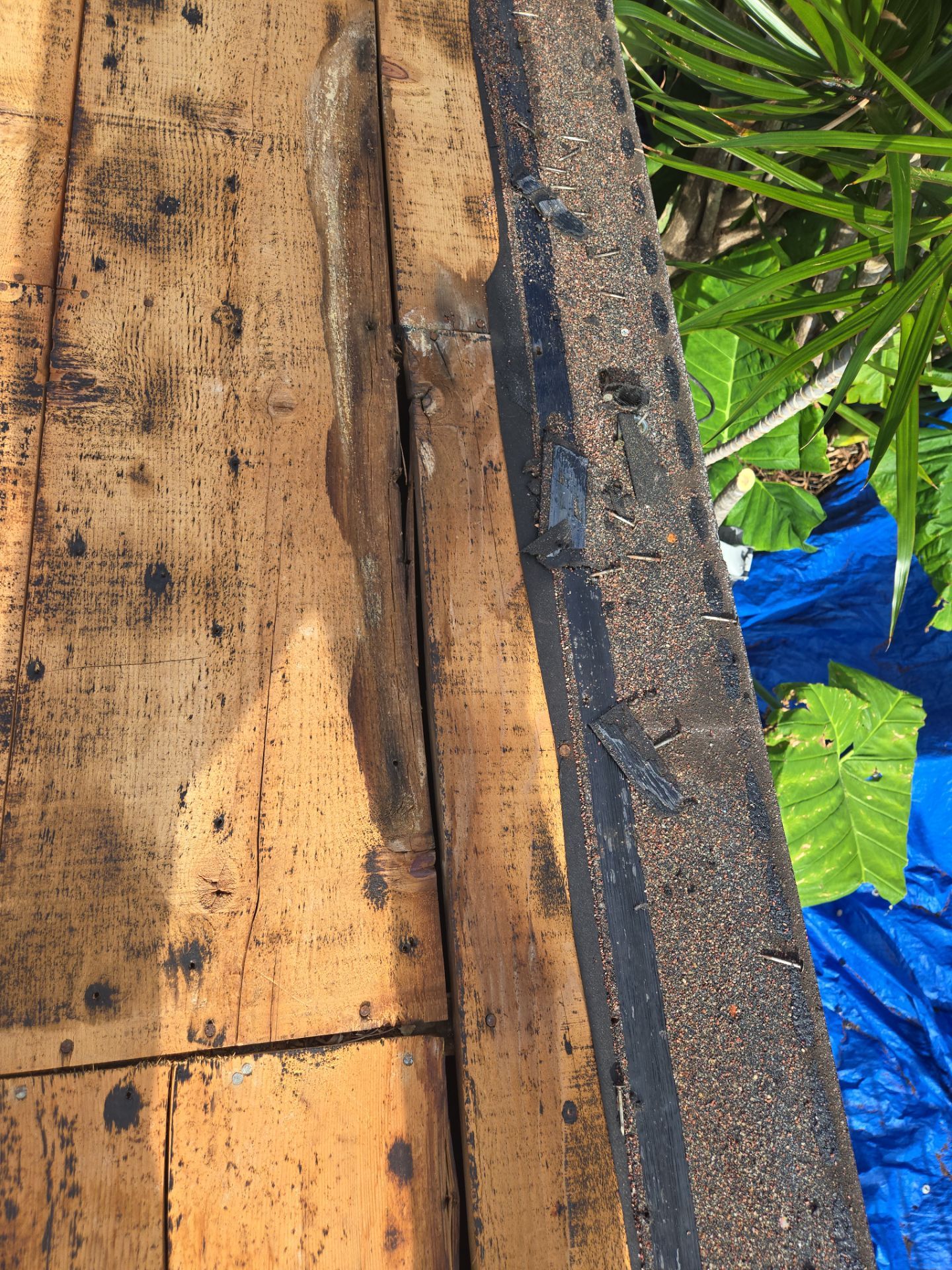 Project in St. Petersburg 33703 by Mitchell Roofing Company LLC 