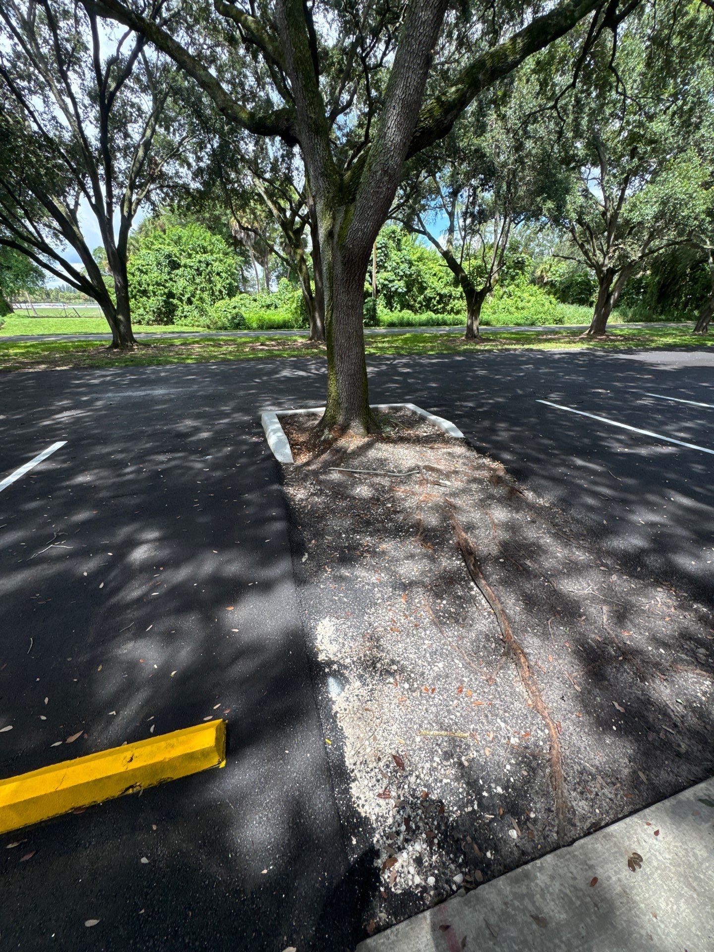 Project in West Palm Beach by Crush Development Services LLC