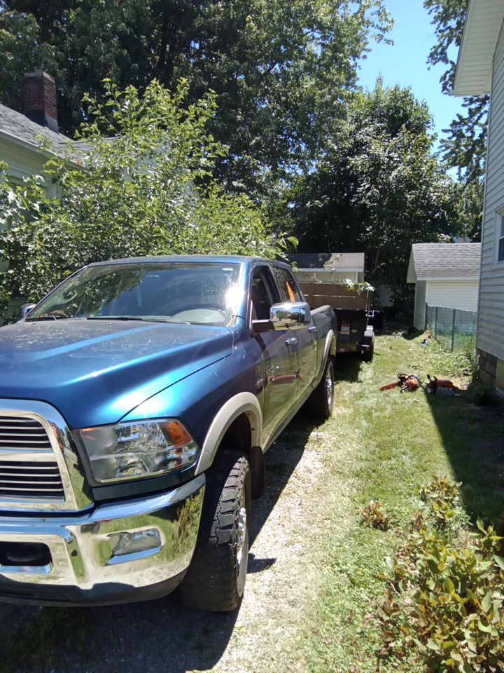 Storm Damaged Tree Removal  using Tree Removal by Mike Jones & Sons Tree Service LLC 