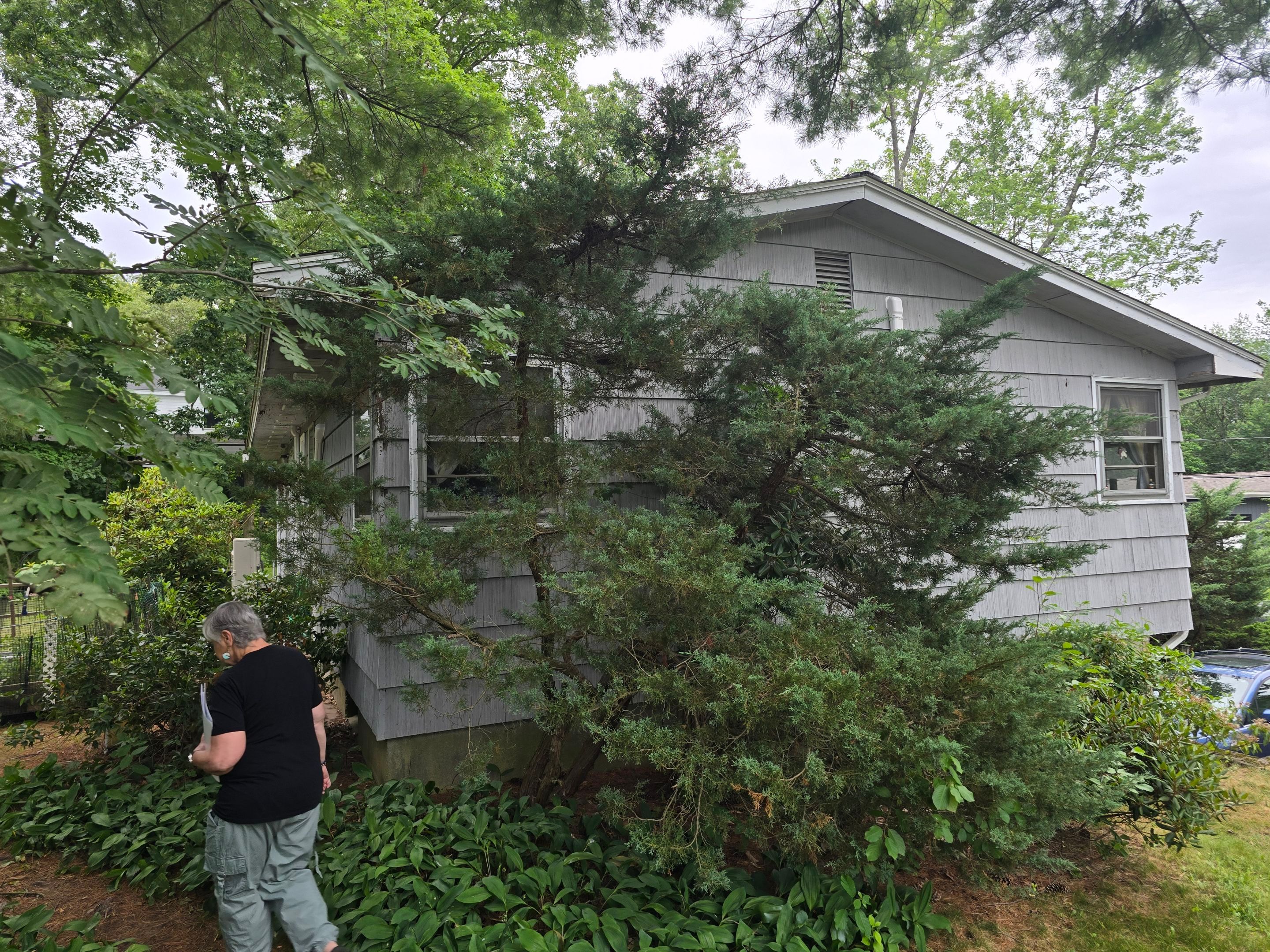 Complete Exterior Transformation - Siding & Window Replacement with Energy Upgrade by UBrothers Construction