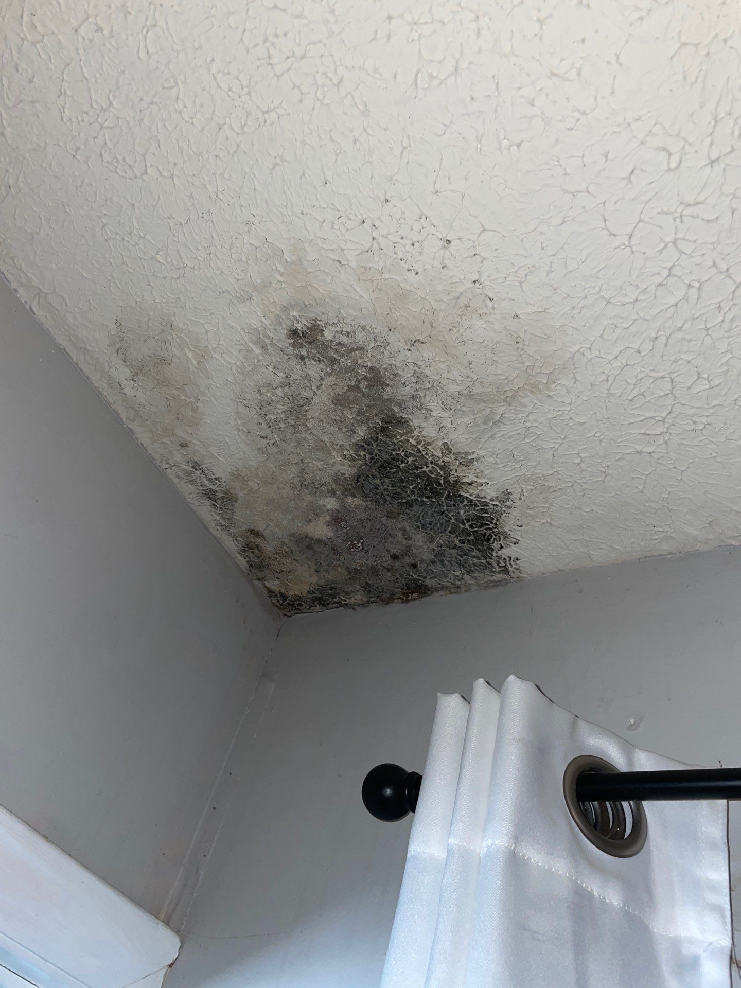Project in Glen Burnie, MD by Restoration services