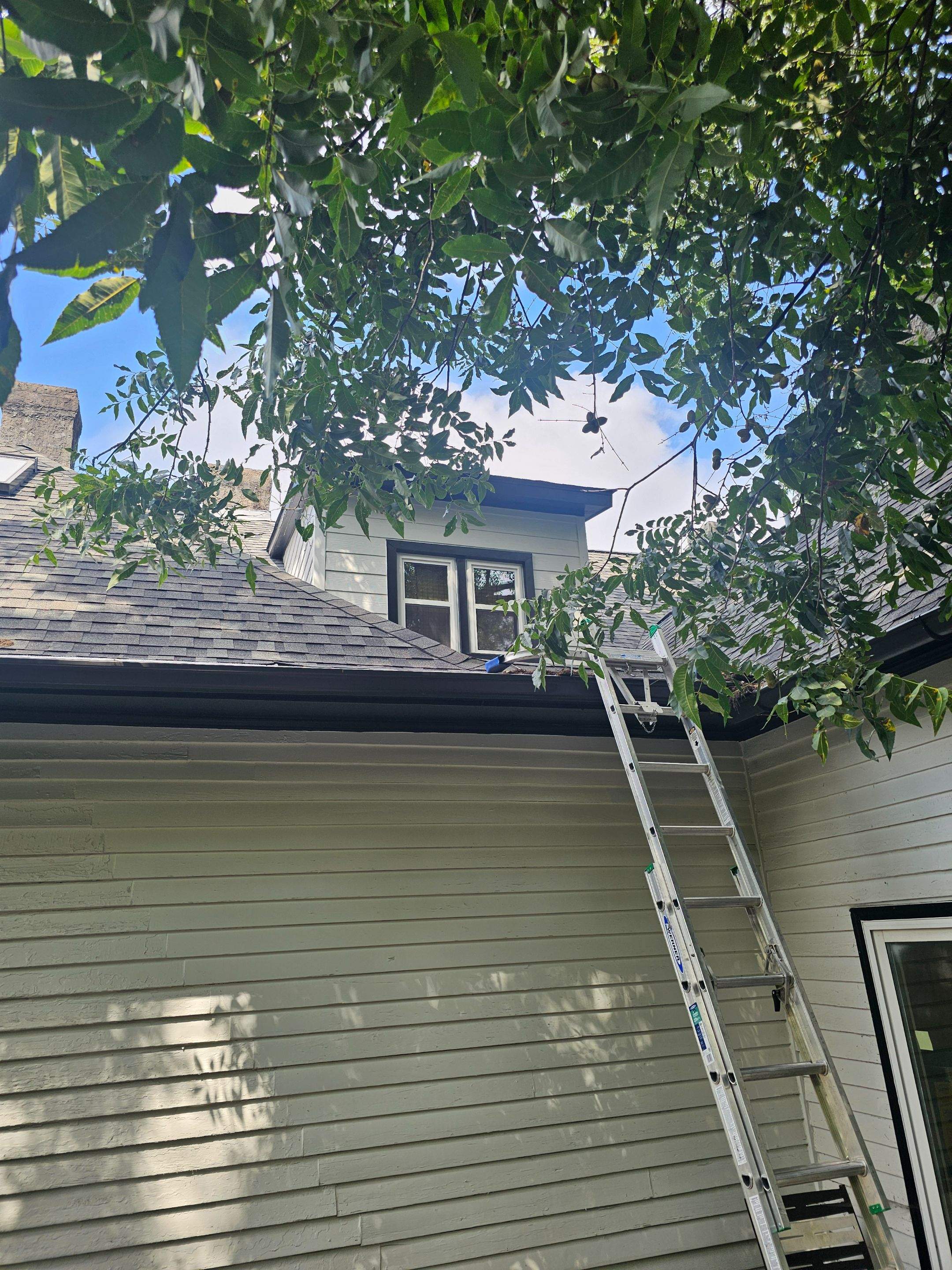 Moffit Project in Birmingham by The Window Source