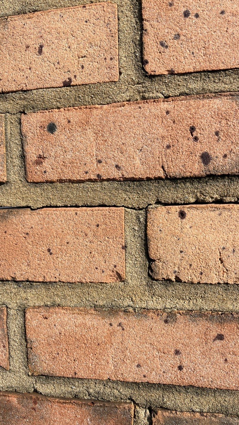 Problems in Paradise by Bayfront Roofing and Construction