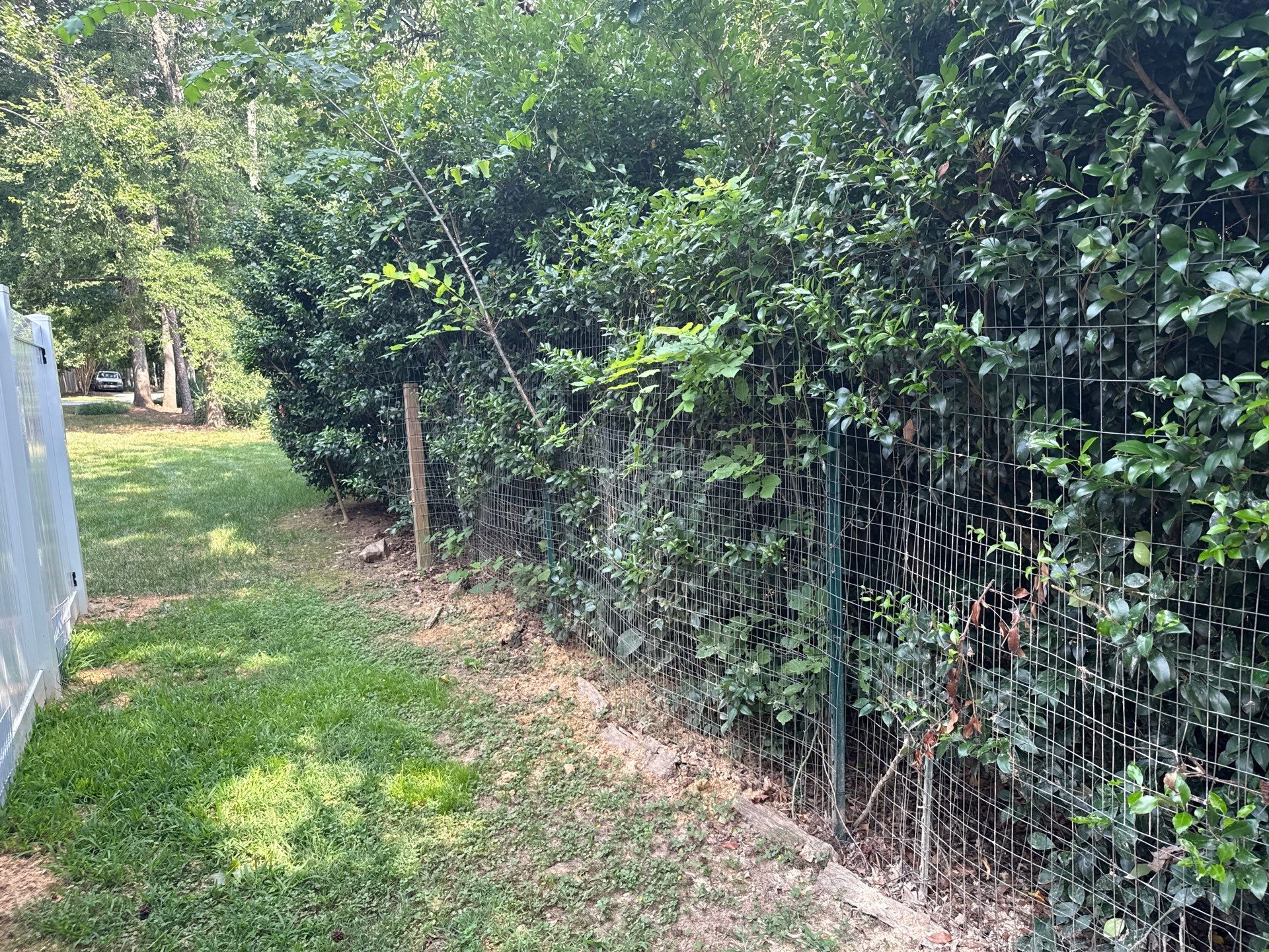 Project in Mint Hill by Badger Hauling