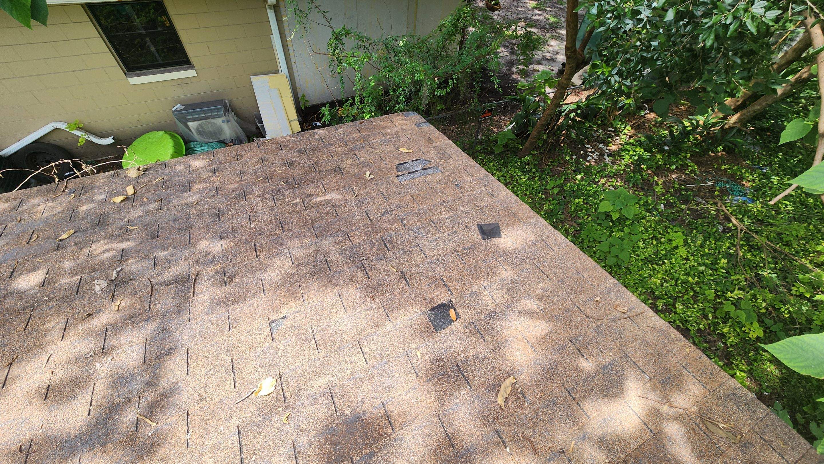 Tree Damage Claim in Orlando by FLAPA & KeyStone
