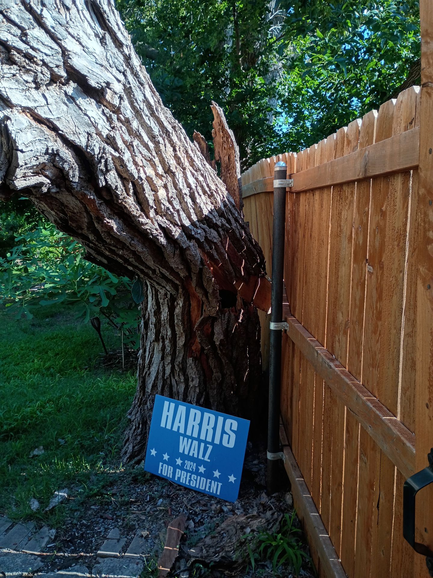 Dangerous Tree Tree Removal  by Clays Services Inc