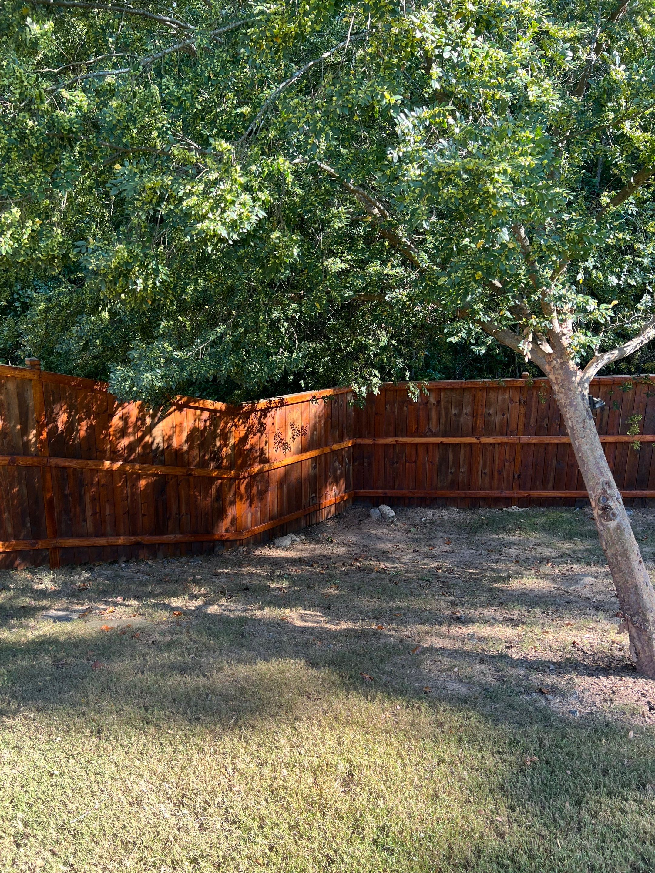 Fence Staining using Pecan by SSE by Titans of Timber Fence & Stain