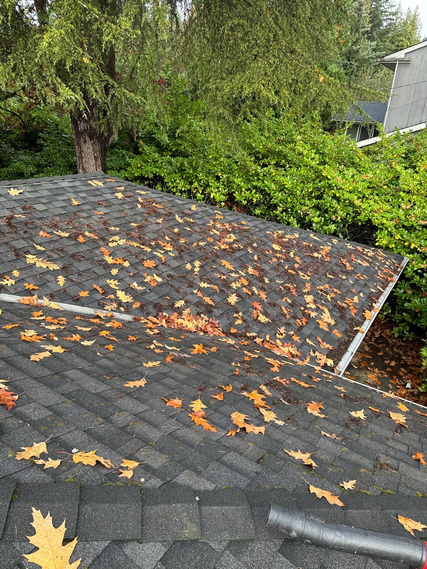 Gutter Cleaning- Taylor Way by YVR Construction Group