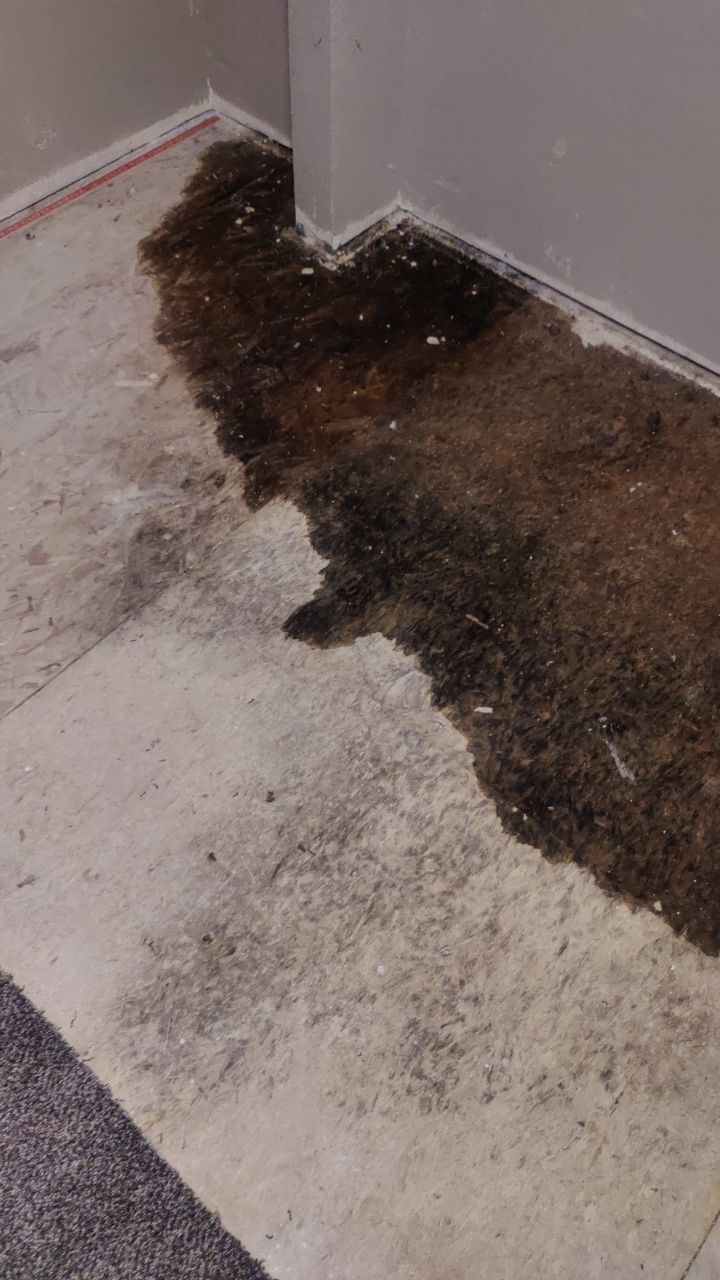 Water Damage Restoration by Accountable Home Services