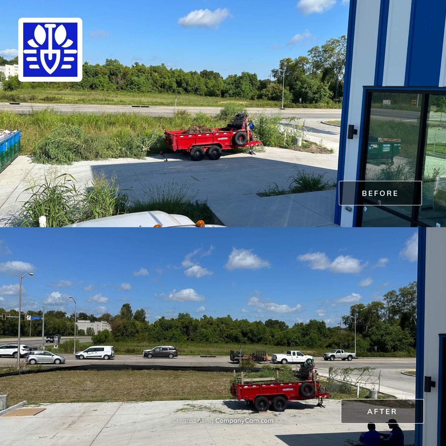 COMMERCIAL LAWN MAINTENANCE: HEDGE TRIM / BED CLEAN / MULCH INSTALL using BROWN MULCH "BARK BRITE" by CutScape, LLC.