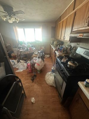 Whole house cleanout with bedbug infestation