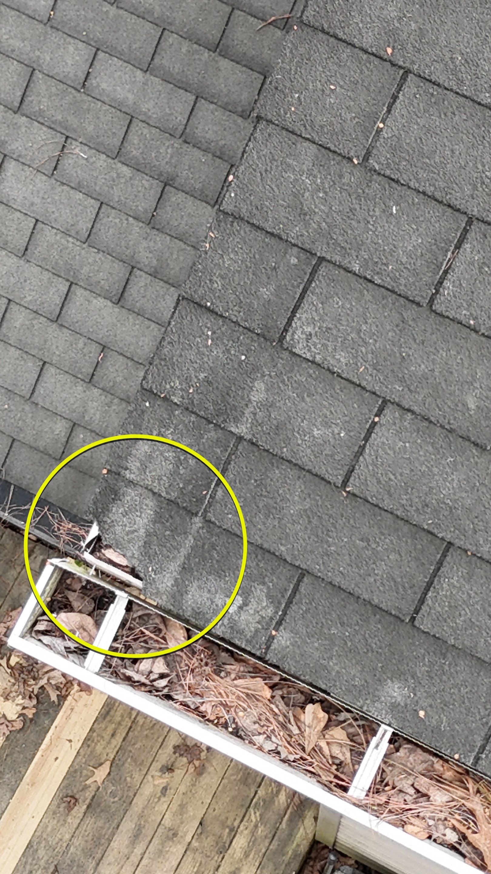 Free Roof Inspection Jacksonville, NC by North Carolina Roofs