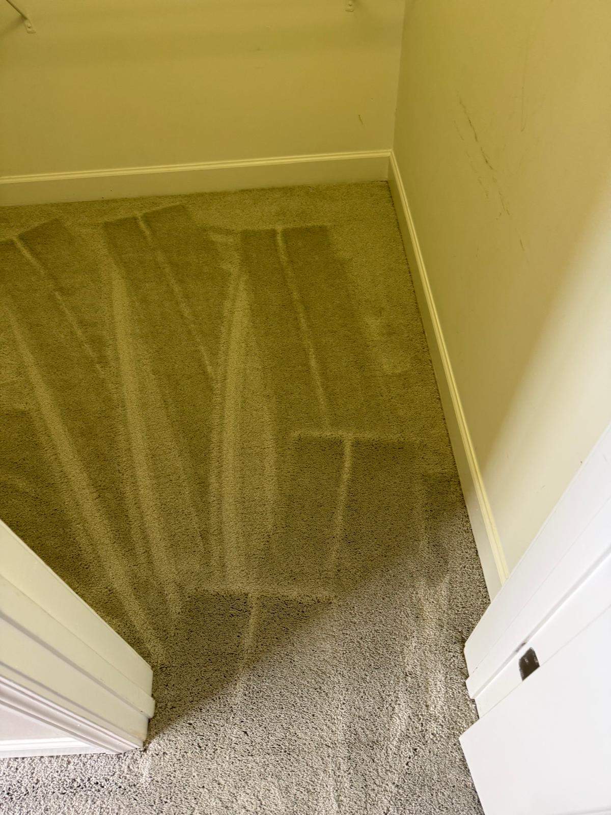 Project 46 by FMP Flooring