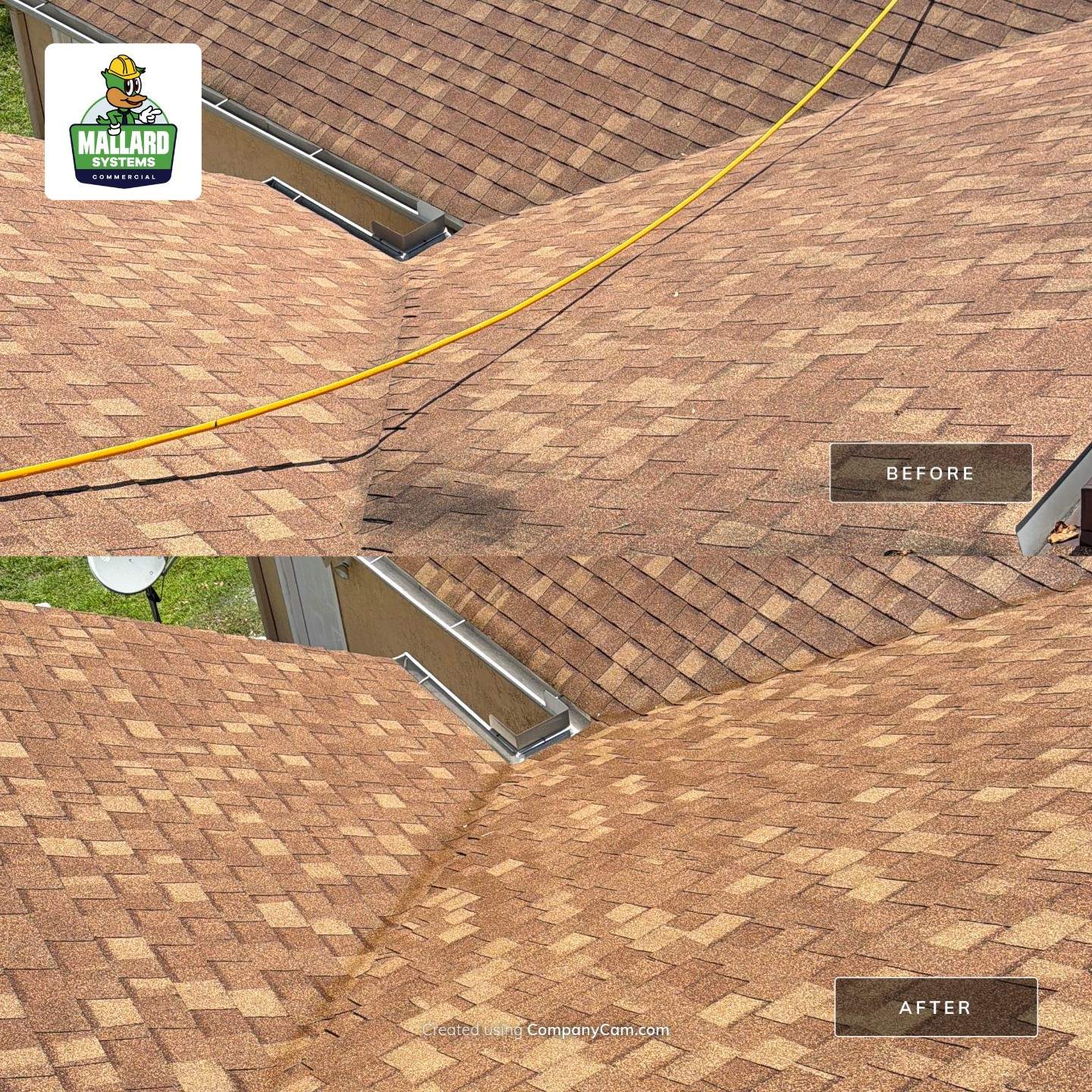 Residential Shingle Roof Cleaning for Sorrento Property by Mallard Systems