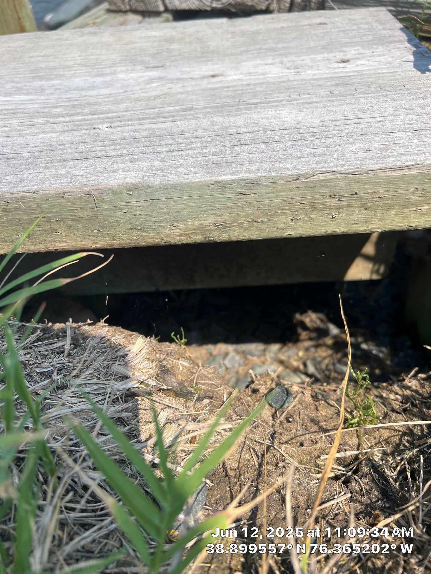 Stevensville Bulkhead Leak Sealing by East Coast Poly Solutions 