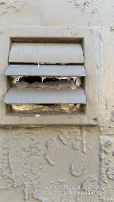 Air Duct, Bath Exhaust & Dryer Vent Cleaning — Davenport