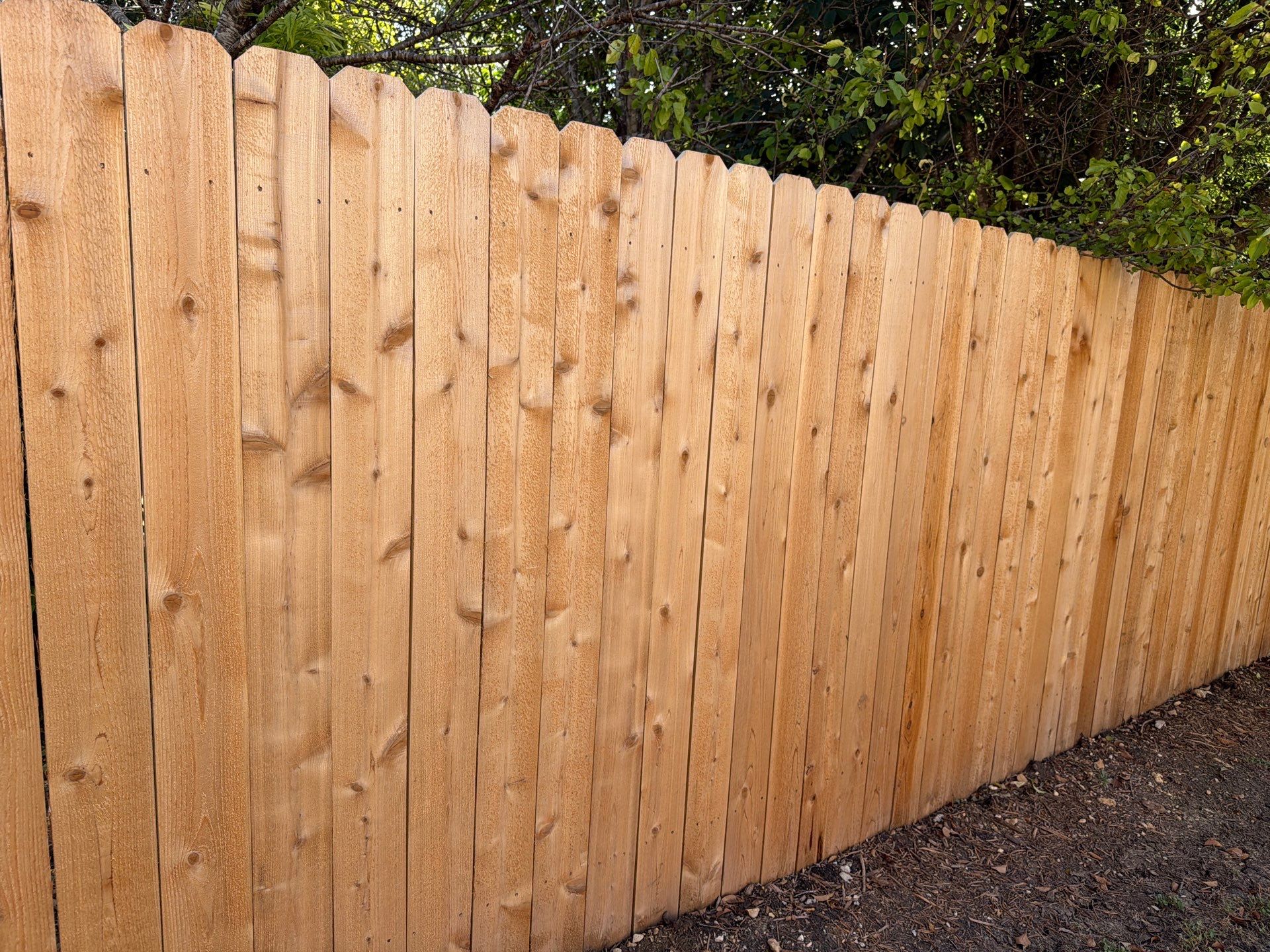 Austin Cedar Fence Stain by Rhino Home Care