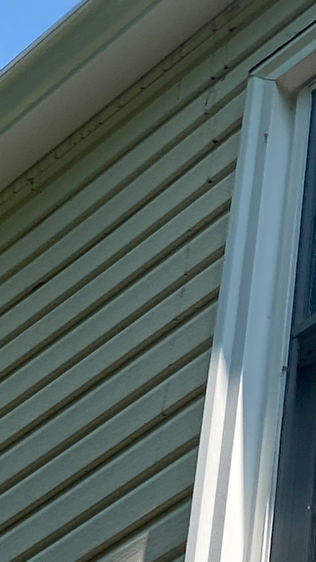 Vienna: Roof Replacement with CertainTeed Landmark Designer Shingles in Weathered Wood by RM Banning, Inc.