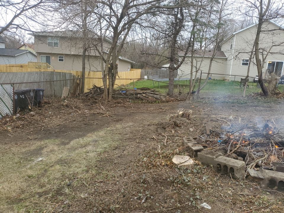 Tree Removal using Tree Removal by Mike Jones & Sons Tree Service LLC 