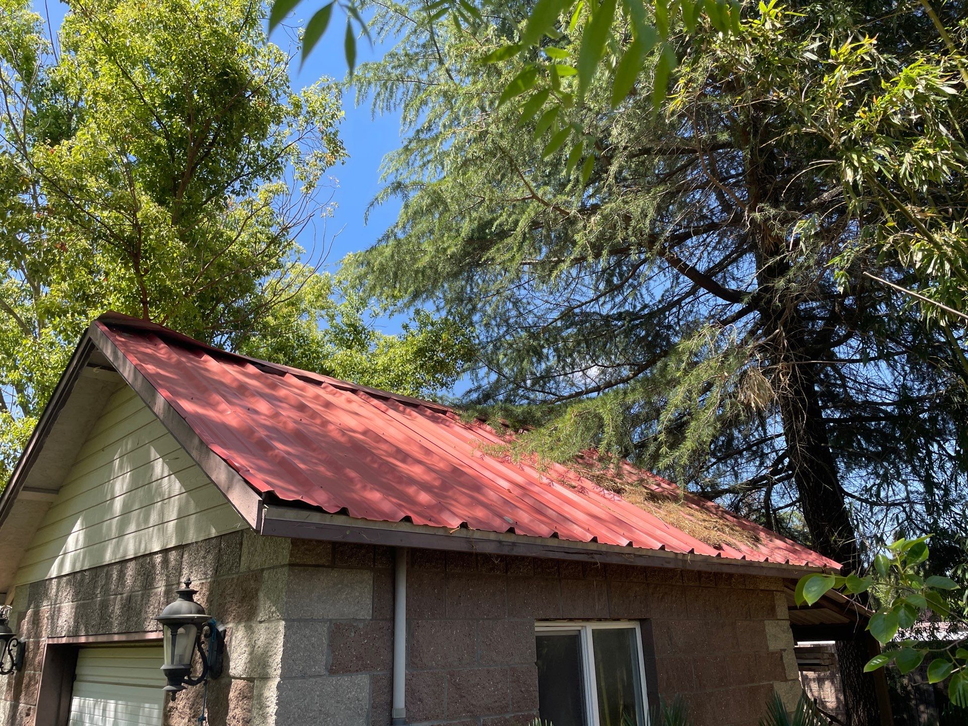 Presidential shingle roof by Straight Edge Roofing Inc